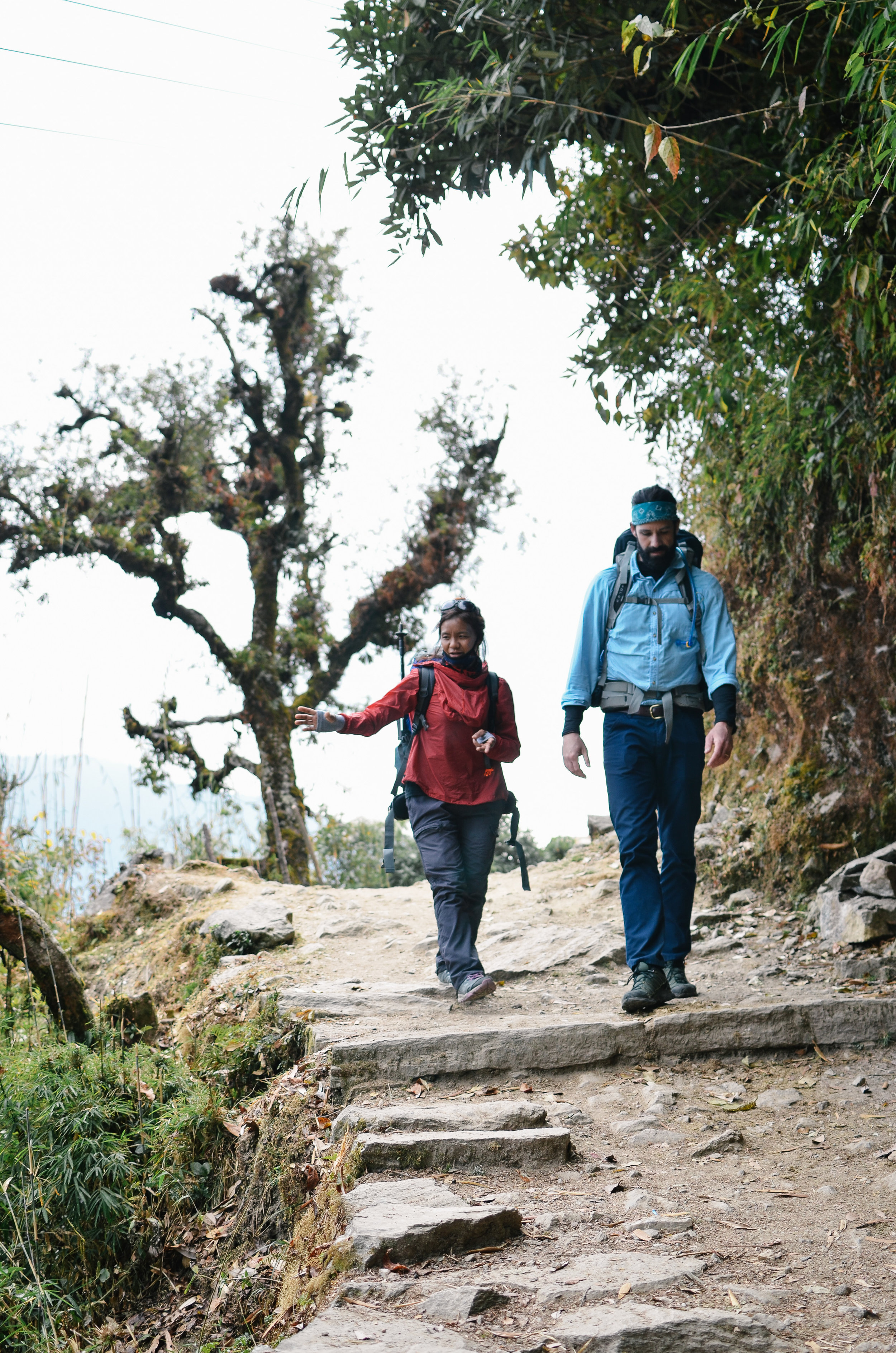 nepal-trek-annapurna_2_day_trekking_nepal_2.jpg