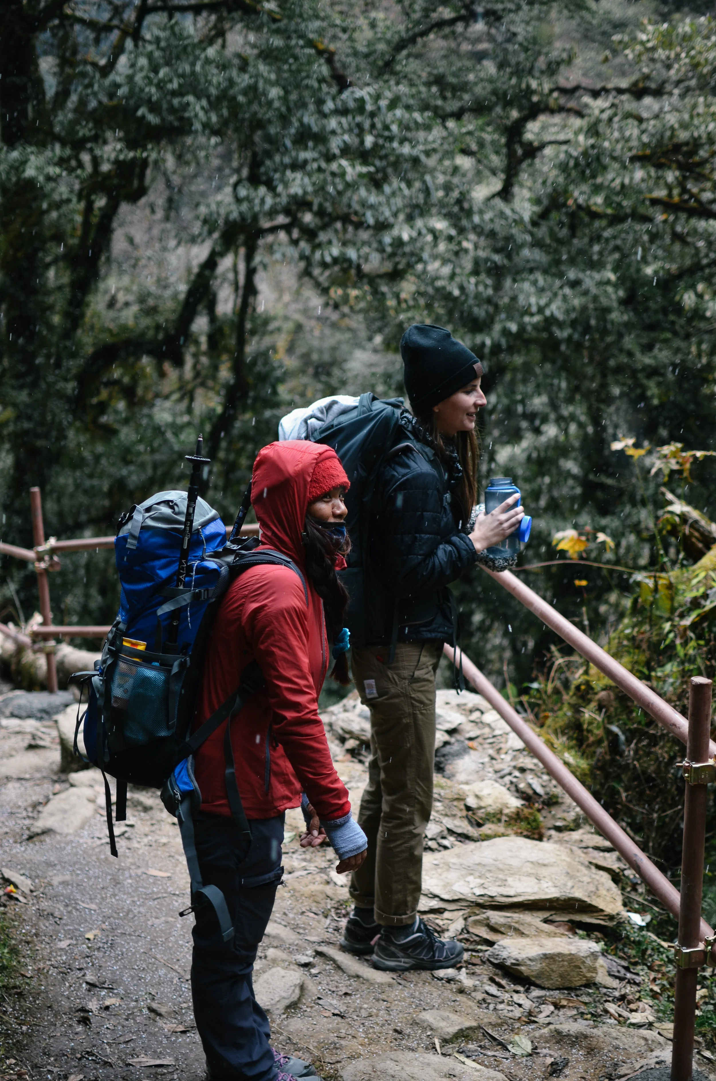 nepal-trek-annapurna_2_day_trekking_nepal_3.jpg