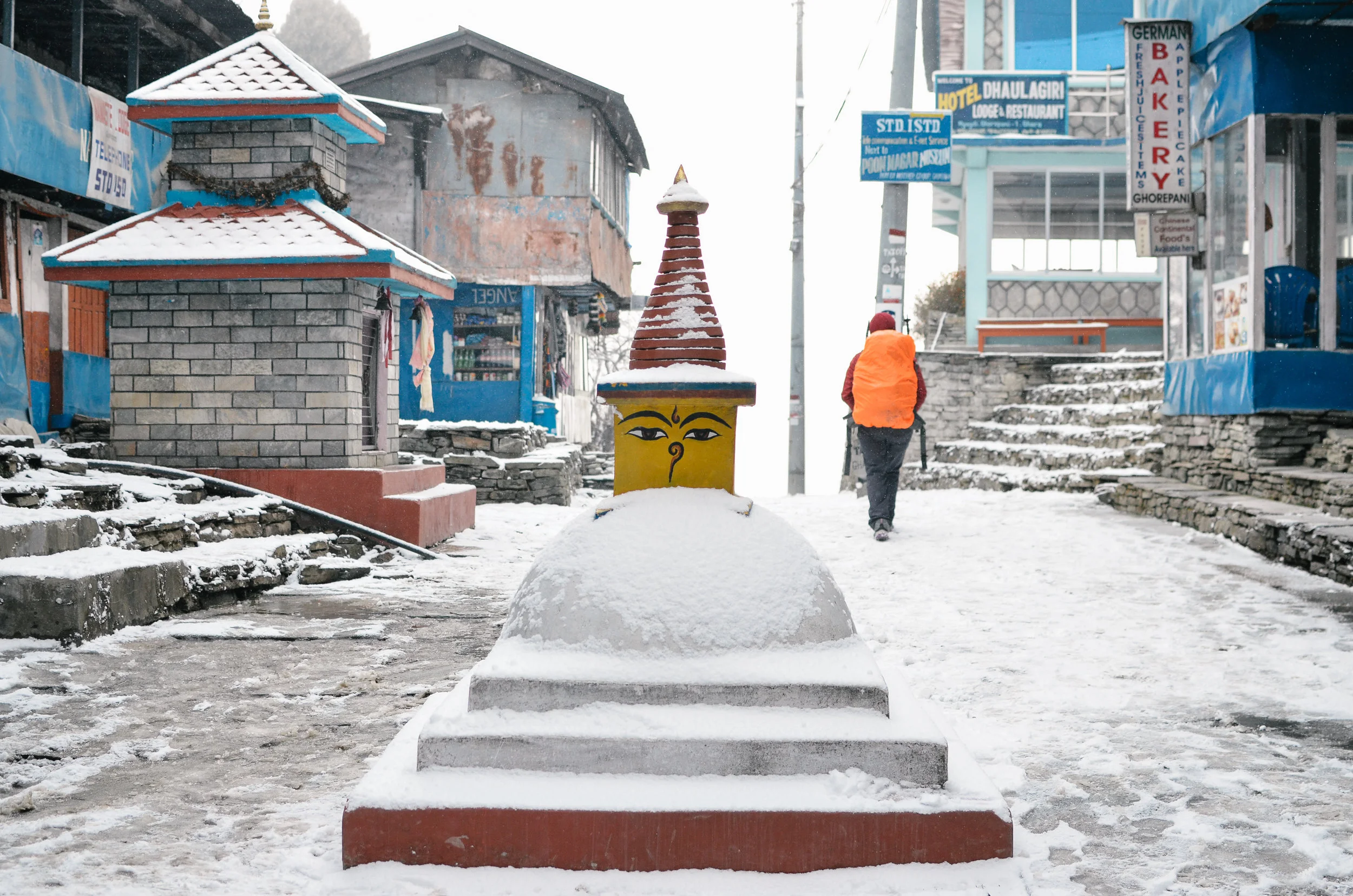 nepal-trek-annapurna_DSC_1266.jpg