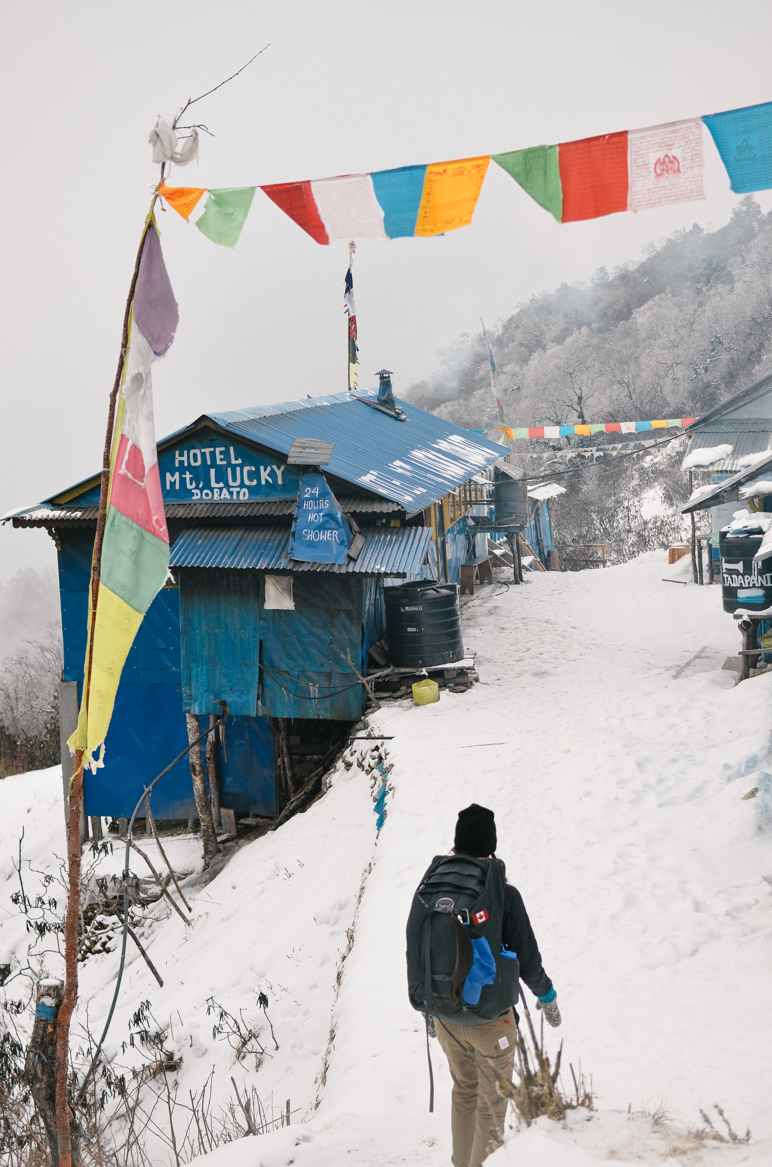 nepal-trek-annapurna_DSC_1444.jpg