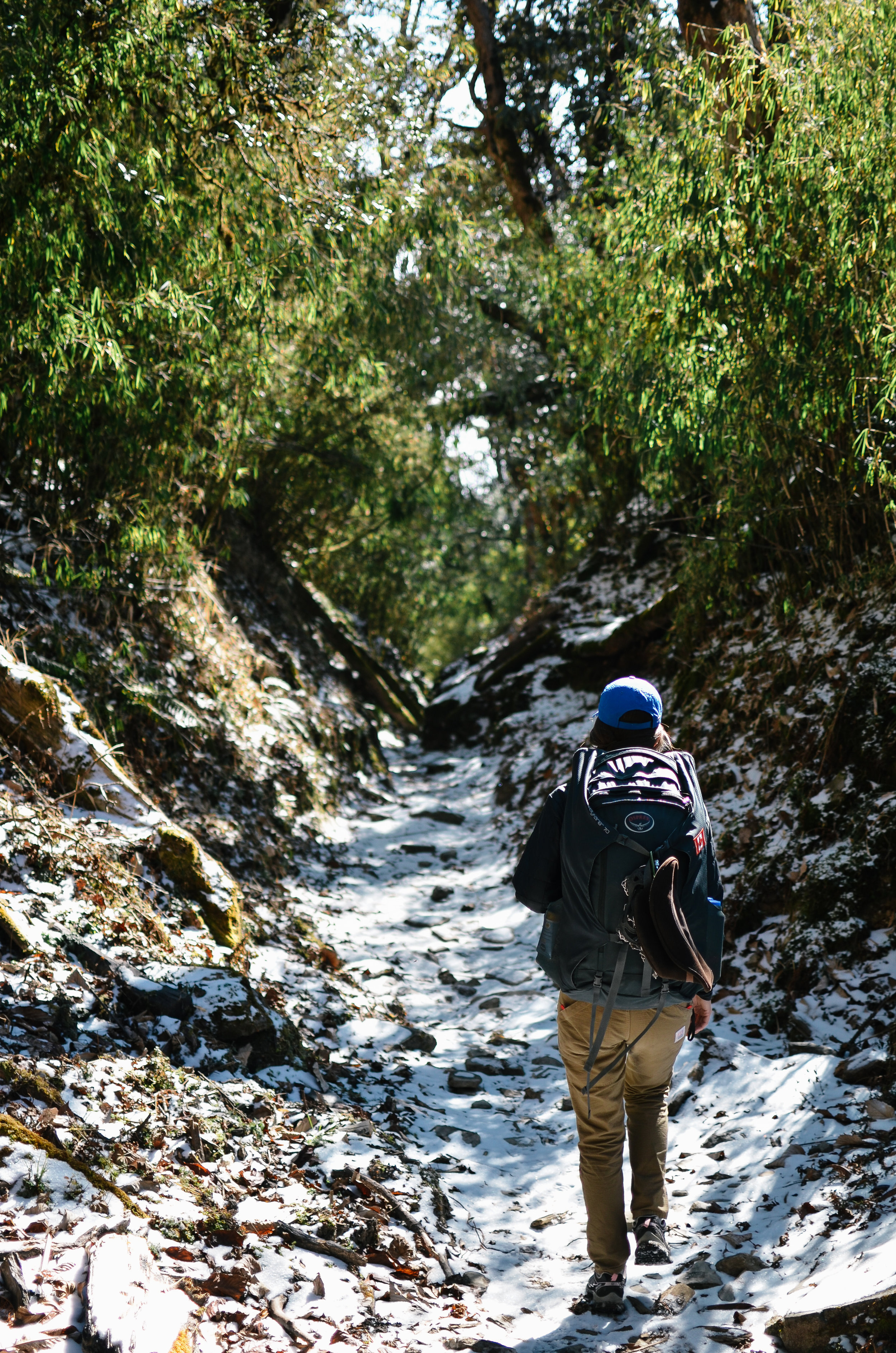 nepal-trek-annapurna_DSC_1523.jpg