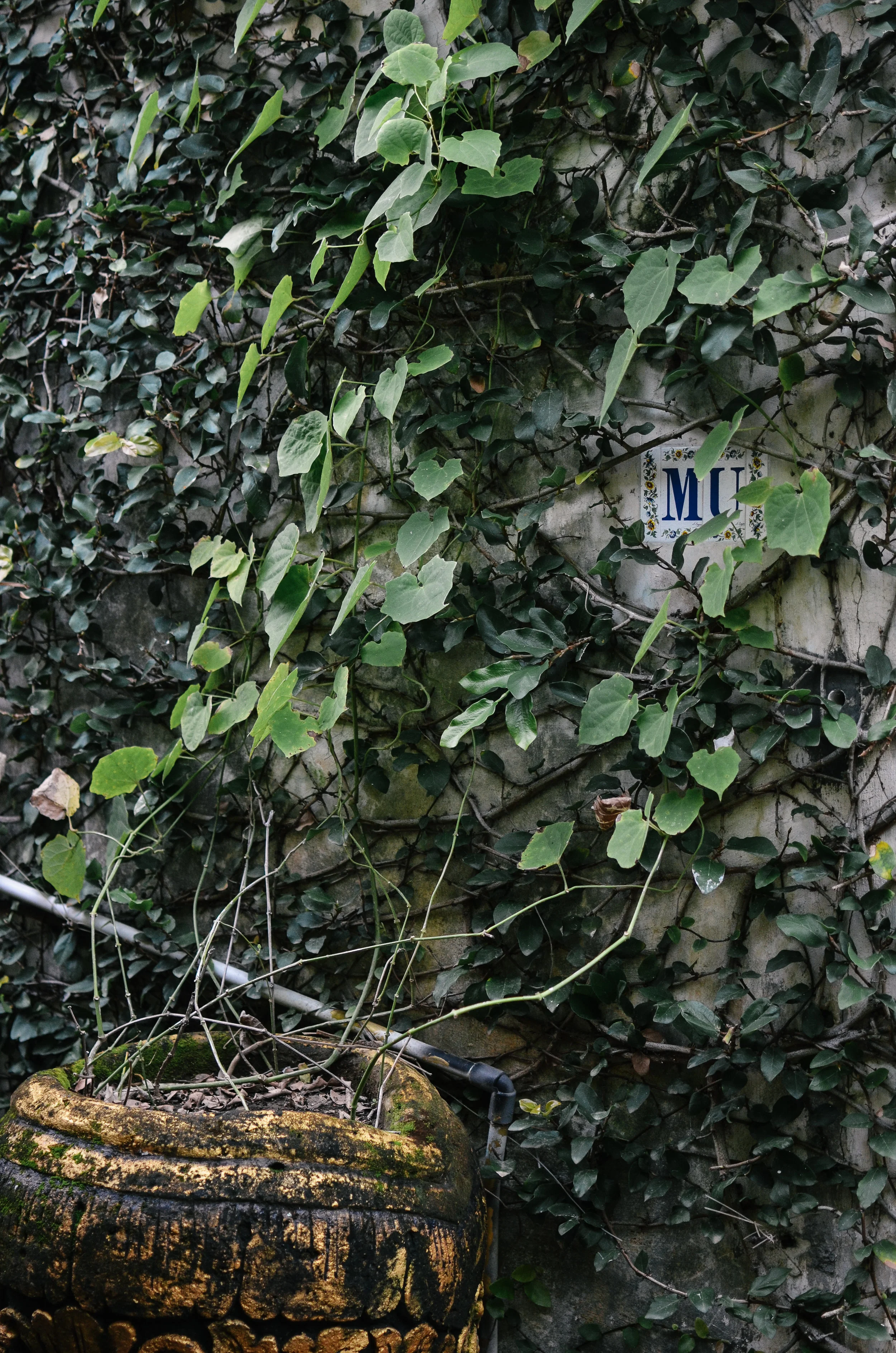 eco-luxury escape: mu bungalows in bingin, bali