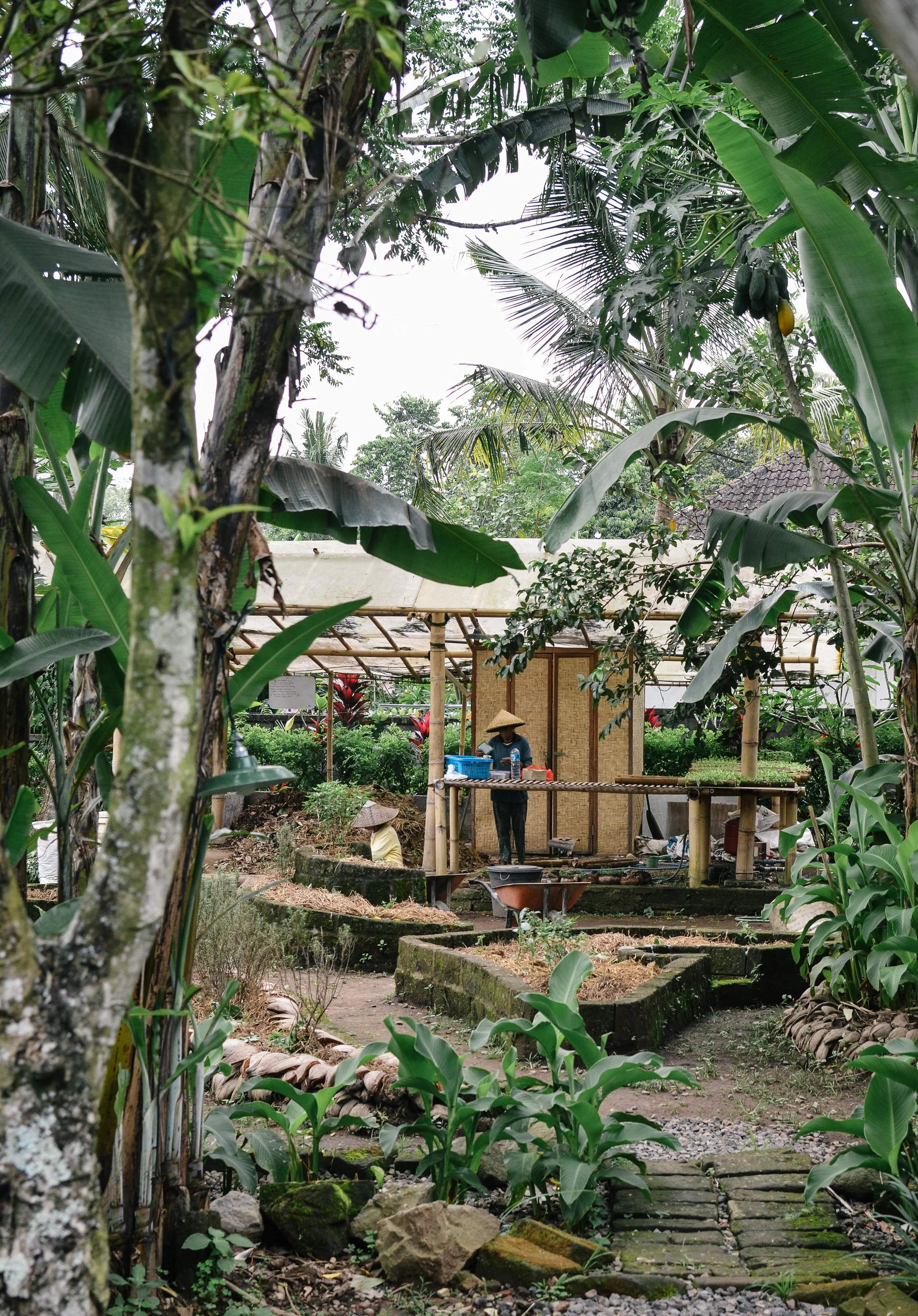bali+mosca+bamboo+lodge+bali+ubud+lifeonpine_DSC_2741.jpg