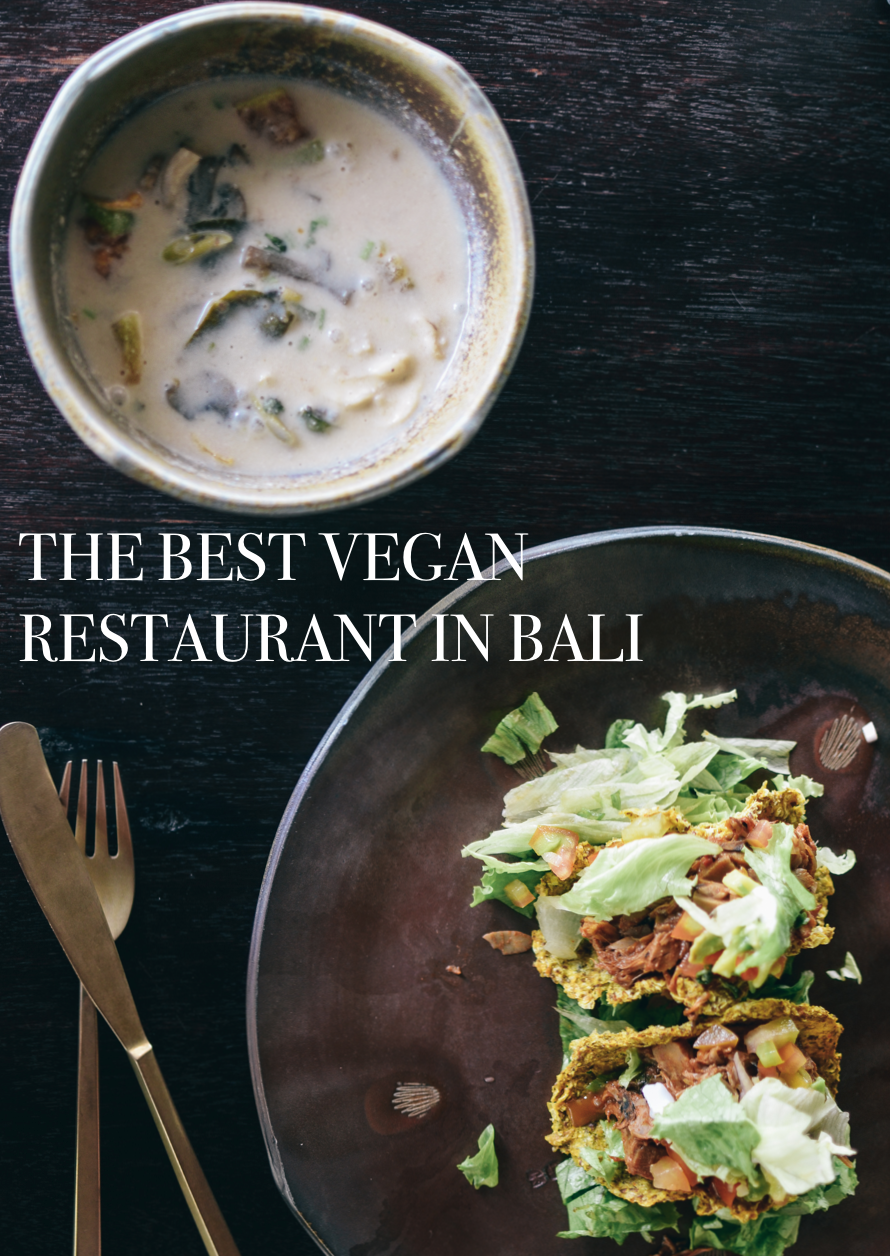 moksa+the+best+vegan+restaurant+in+bali+ubud+life+on+pine.png