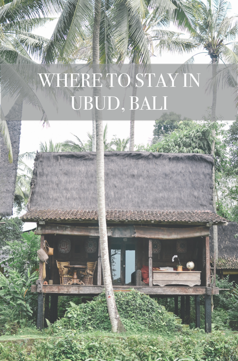 where+to+stay+in+ubud+bali+travel+guide+life+on+pine+lodging.png