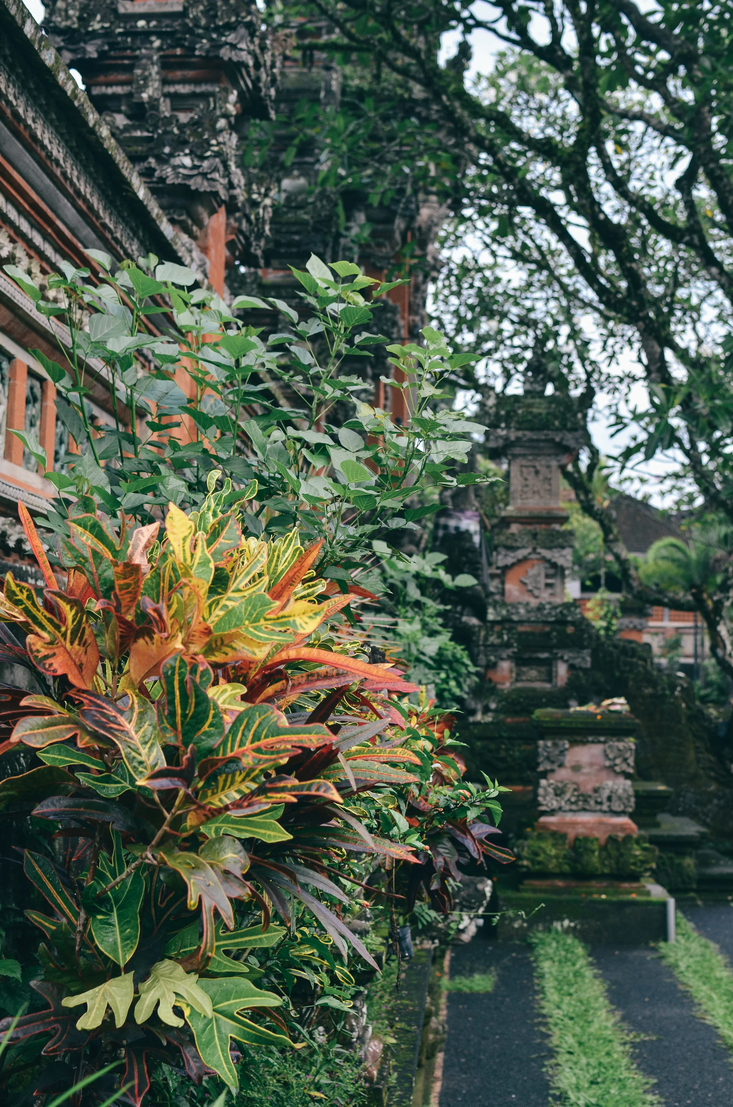 ubud+travel+guide+bali+life+on+pine_DSC_2551.jpg