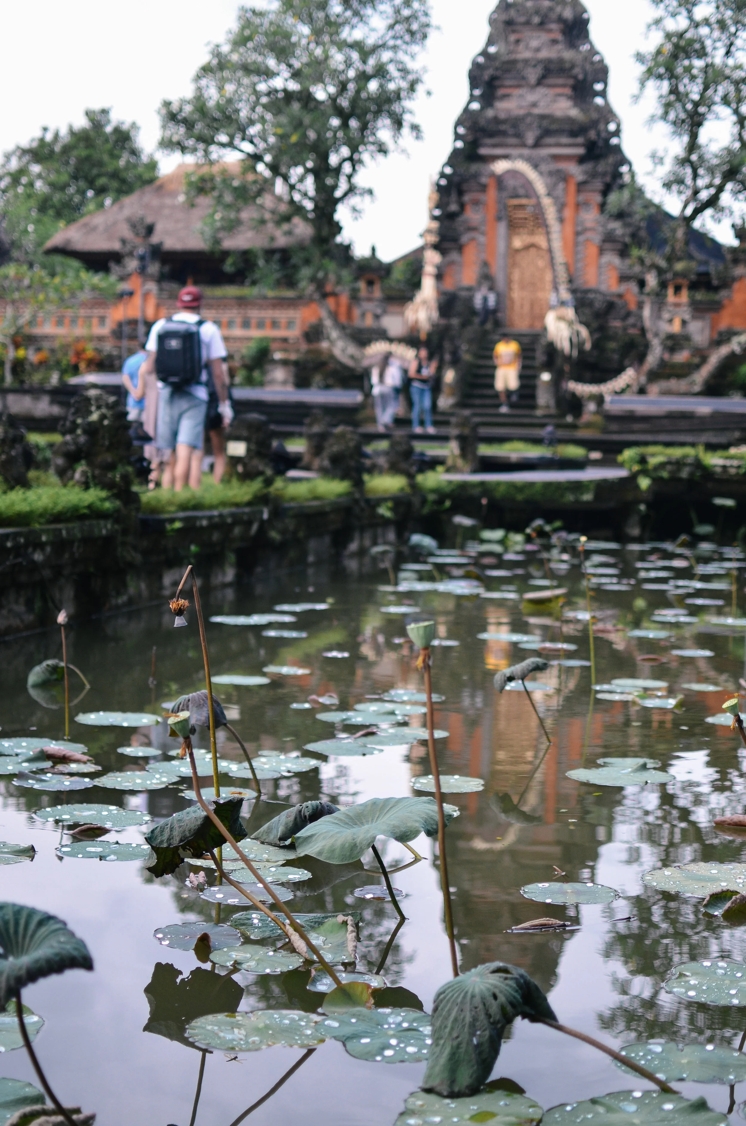 ubud+travel+guide+bali+life+on+pine_DSC_2544.jpg