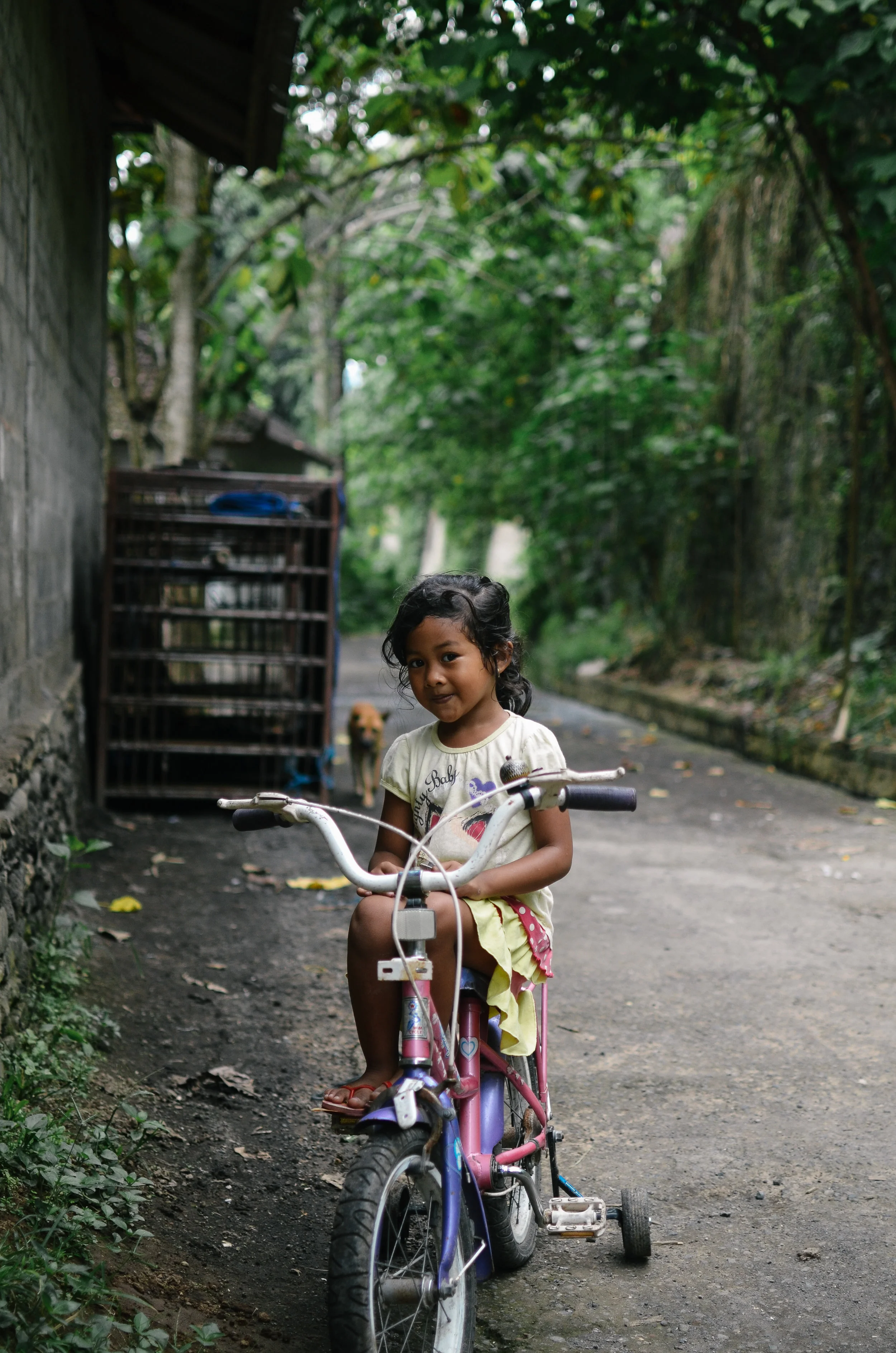 9 things to see when you're in ubud, bali