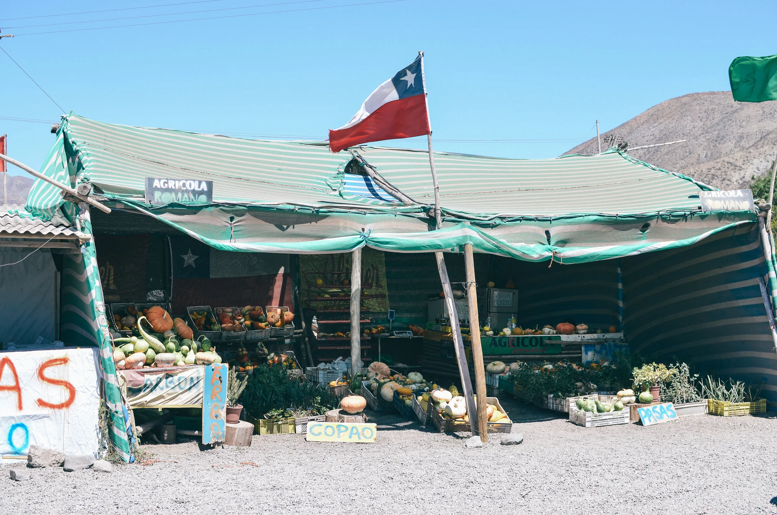 chile+elqui+valley+travel+guide+glamp+life+on+pine_DSC_0406.jpg