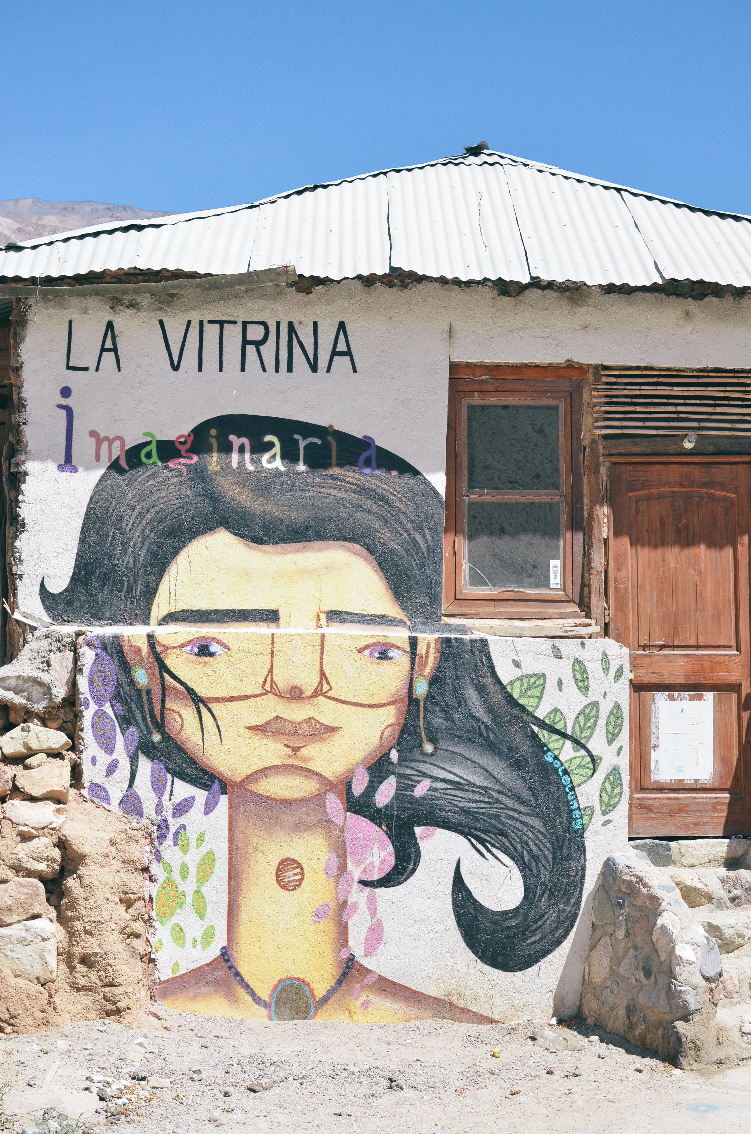 chile+elqui+valley+travel+guide+glamp+life+on+pine_DSC_0584.jpg