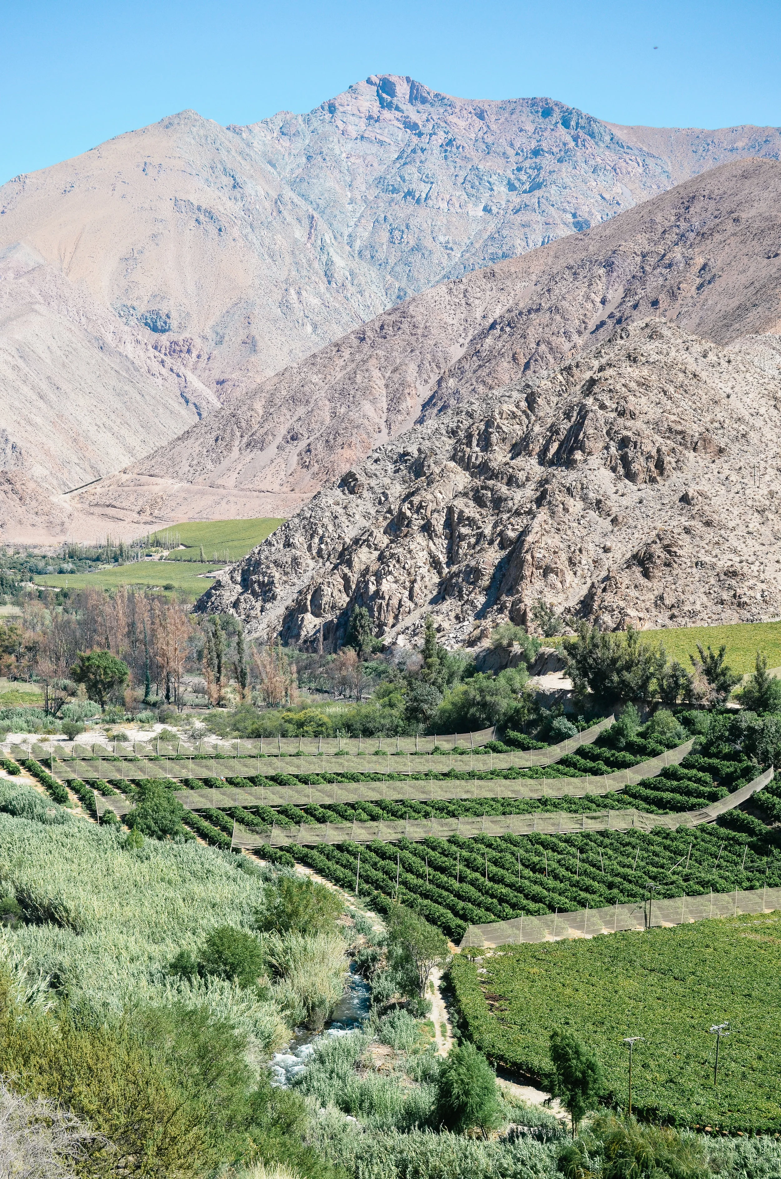 welcome to chile's spiritual desert: the elqui valley 