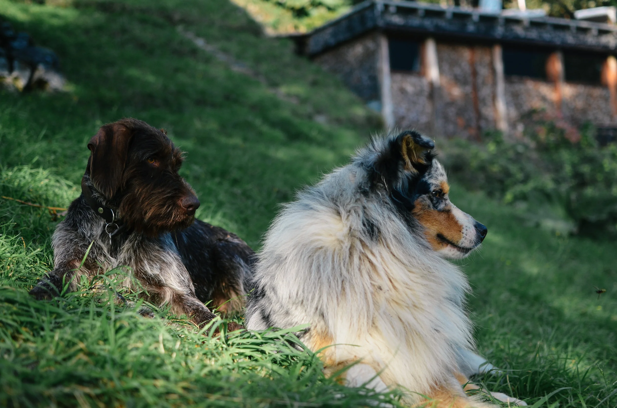 barraco+lodge+chile+life+on+pine+travel+blog +life+on+pine+work+exchange_DSC_1722.jpg
