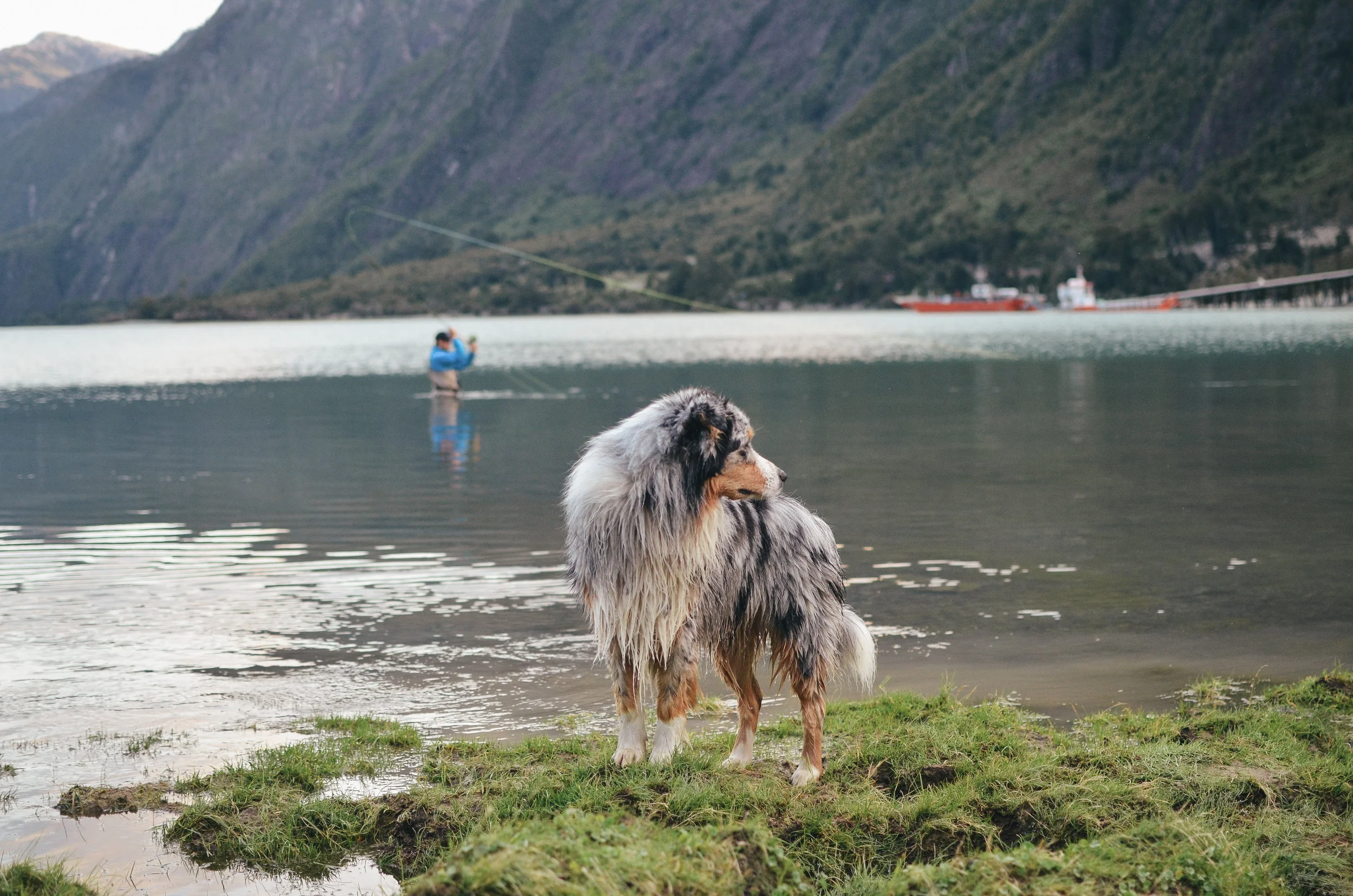barraco+lodge+chile+life+on+pine+travel+blog +life+on+pine+work+exchange_DSC_1906.jpg