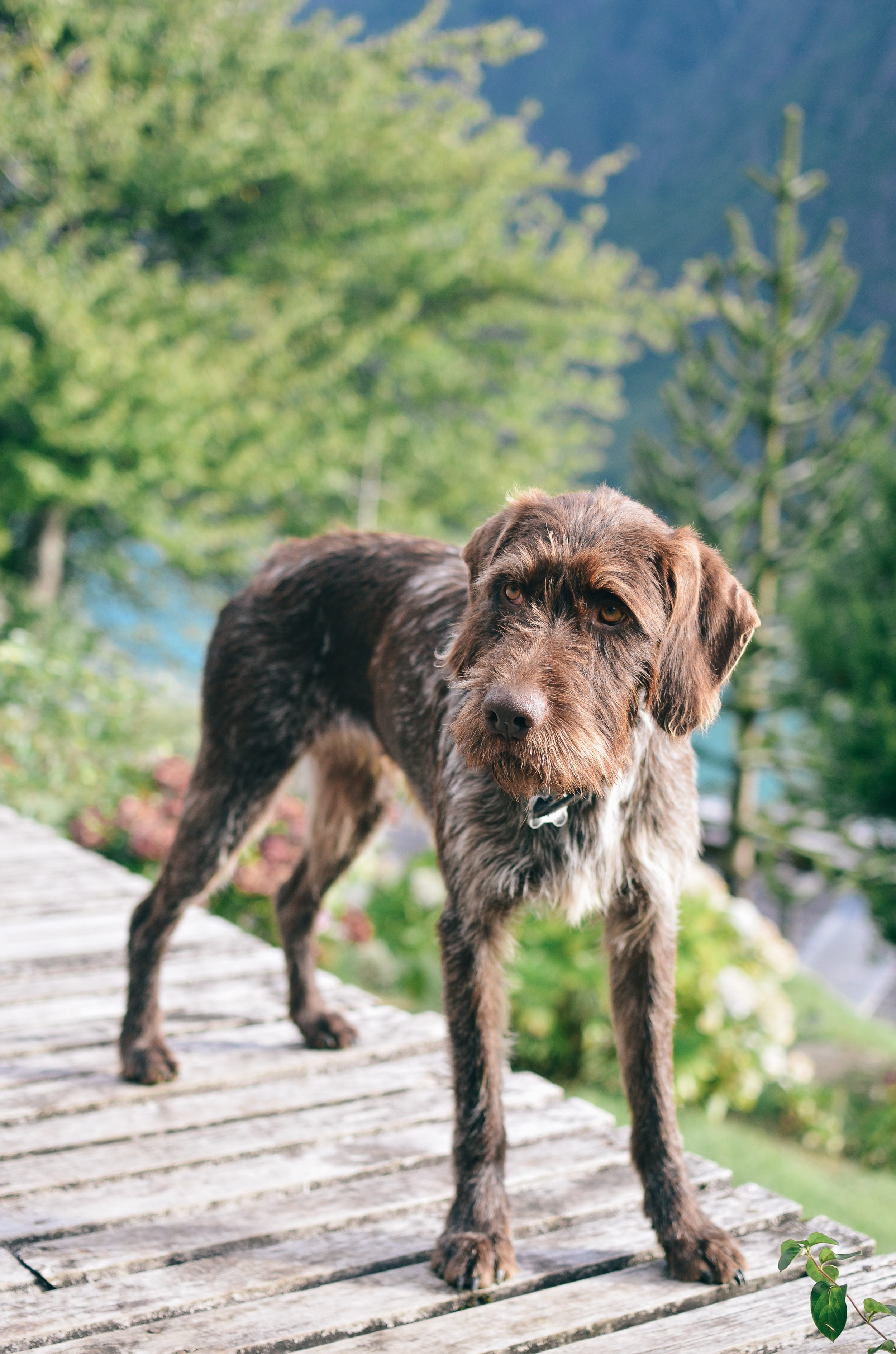 barraco+lodge+chile+life+on+pine+travel+blog +life+on+pine+work+exchange_DSC_1822.jpg