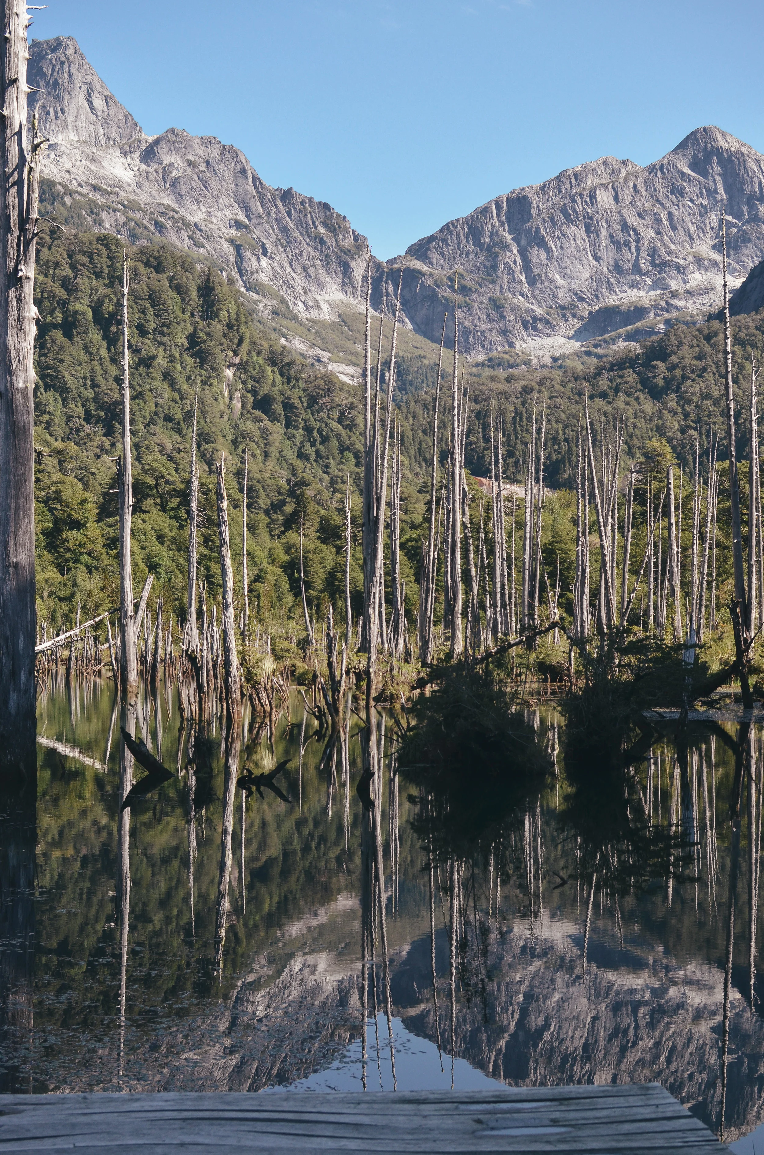 barraco+lodge+chile+life+on+pine+travel+blog +life+on+pine+work+exchange_DSC_0181.jpg