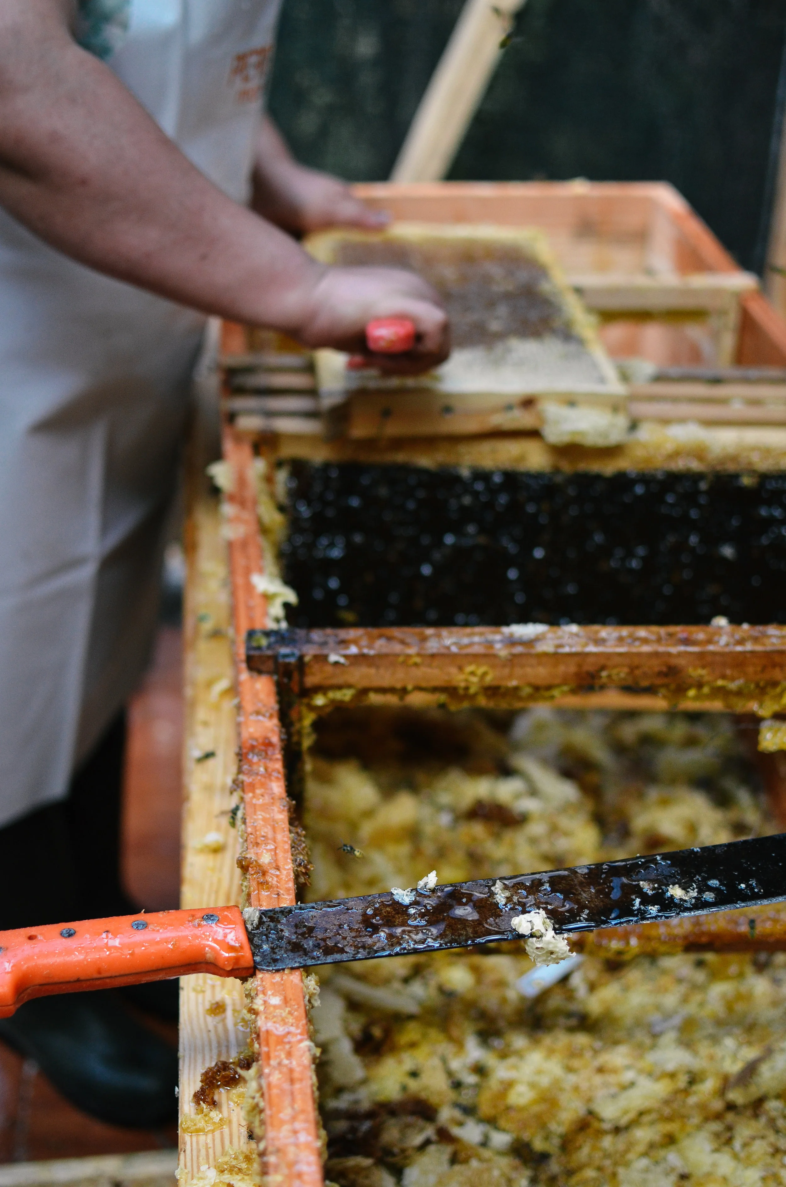 barraco+lodge+chile+life+on+pine+travel+blog +life+on+pine+work+exchange_DSC_1802.JPG_.jpg