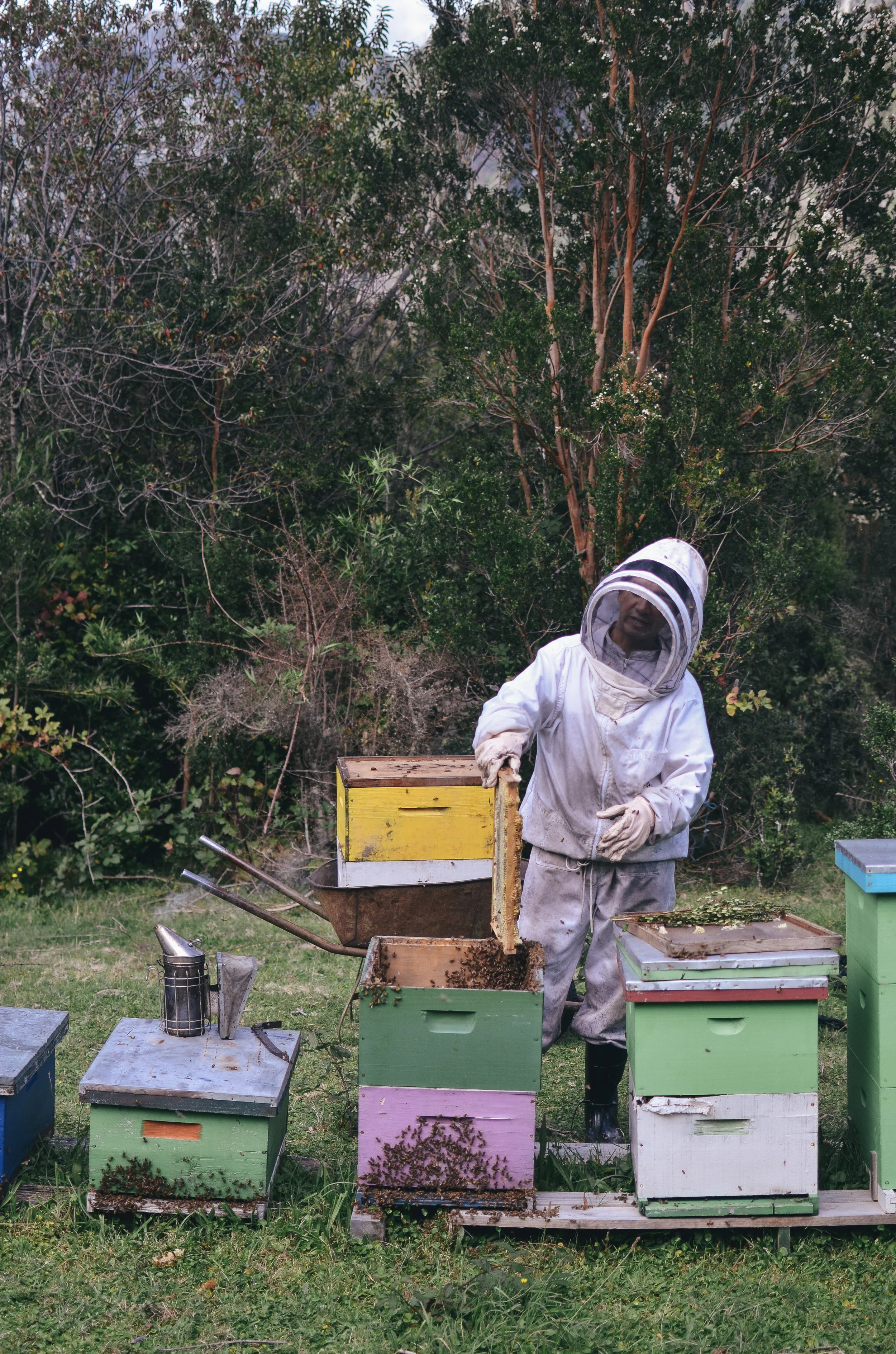 barraco+lodge+chile+life+on+pine+travel+blog +life+on+pine+work+exchange_DSC_1812.jpg