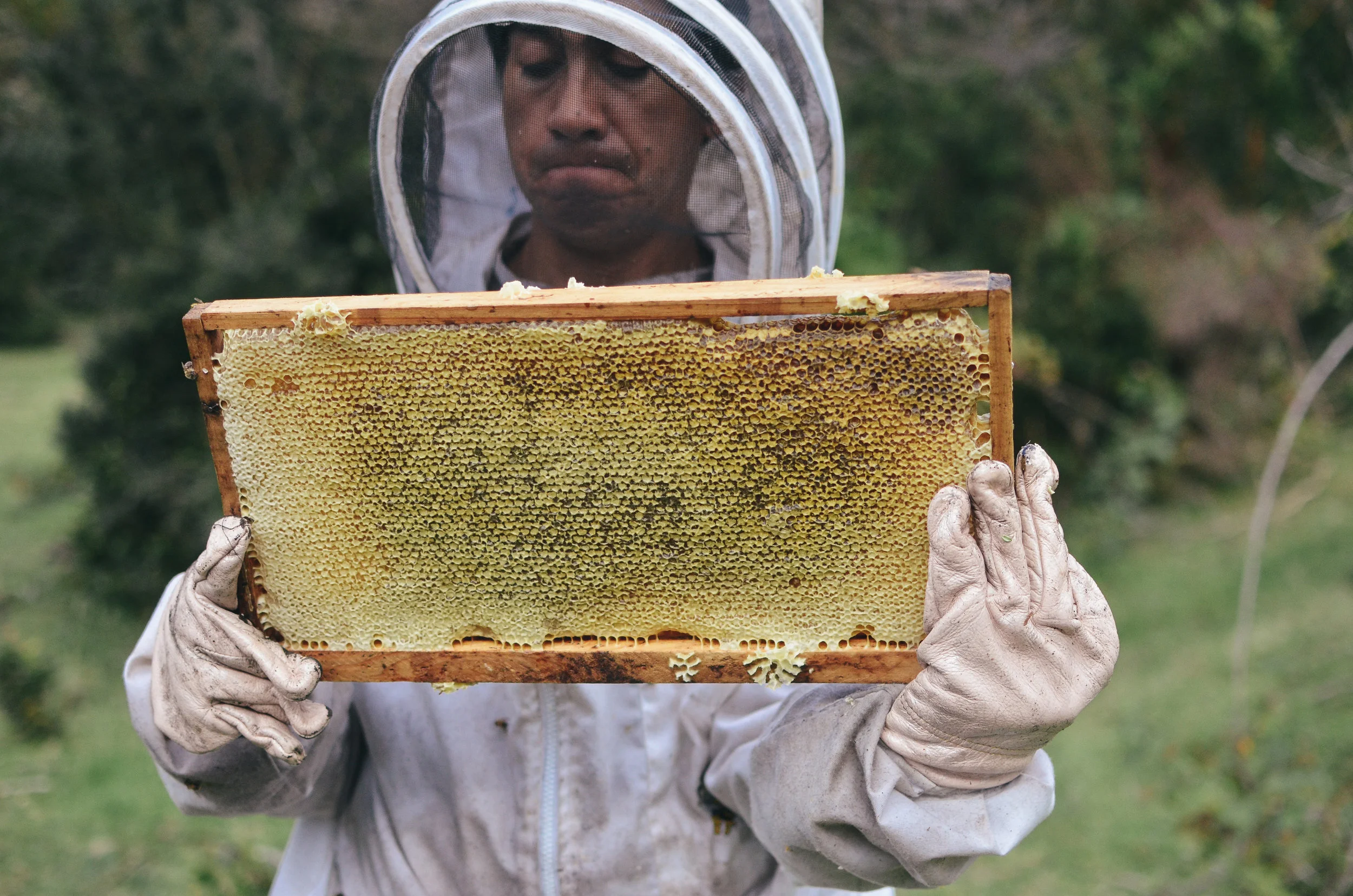 barraco+lodge+chile+life+on+pine+travel+blog +life+on+pine+work+exchange_DSC_1779.jpg