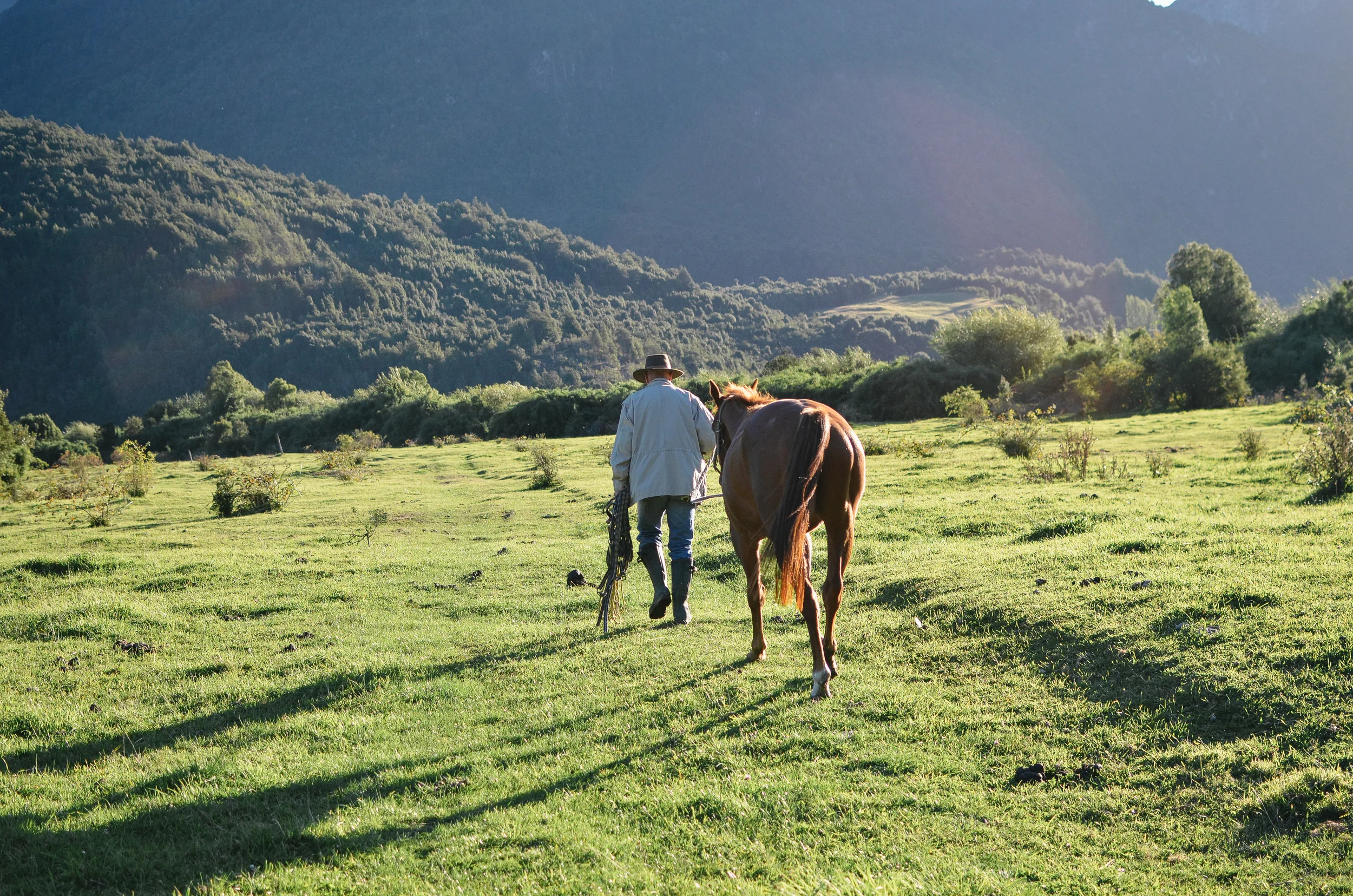 barraco+lodge+chile+life+on+pine+travel+blog +life+on+pine+work+exchange_DSC_1991.jpg