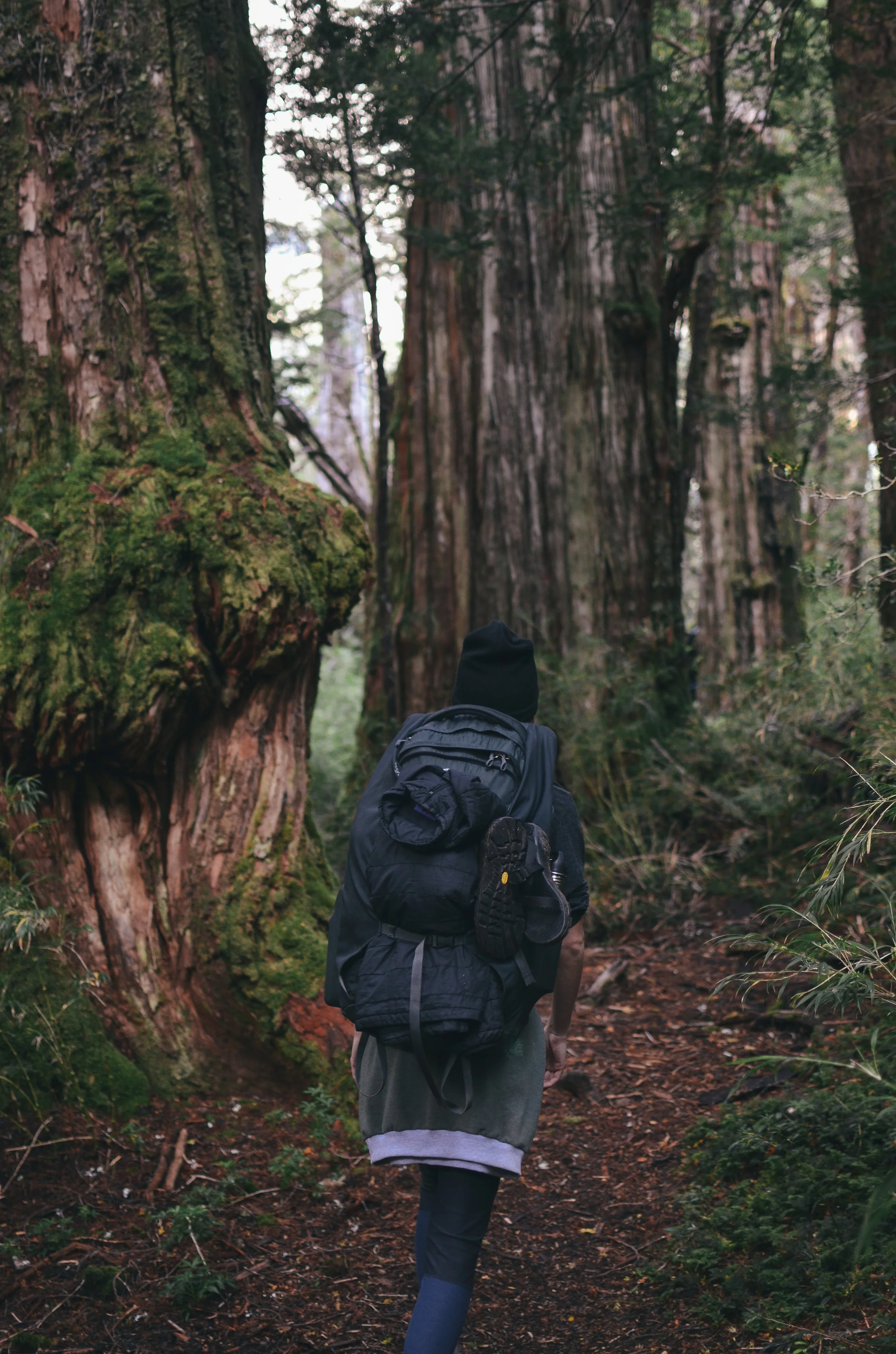 barraco+lodge+chile+life+on+pine+travel+blog +life+on+pine+work+exchange_DSC_0363.jpg