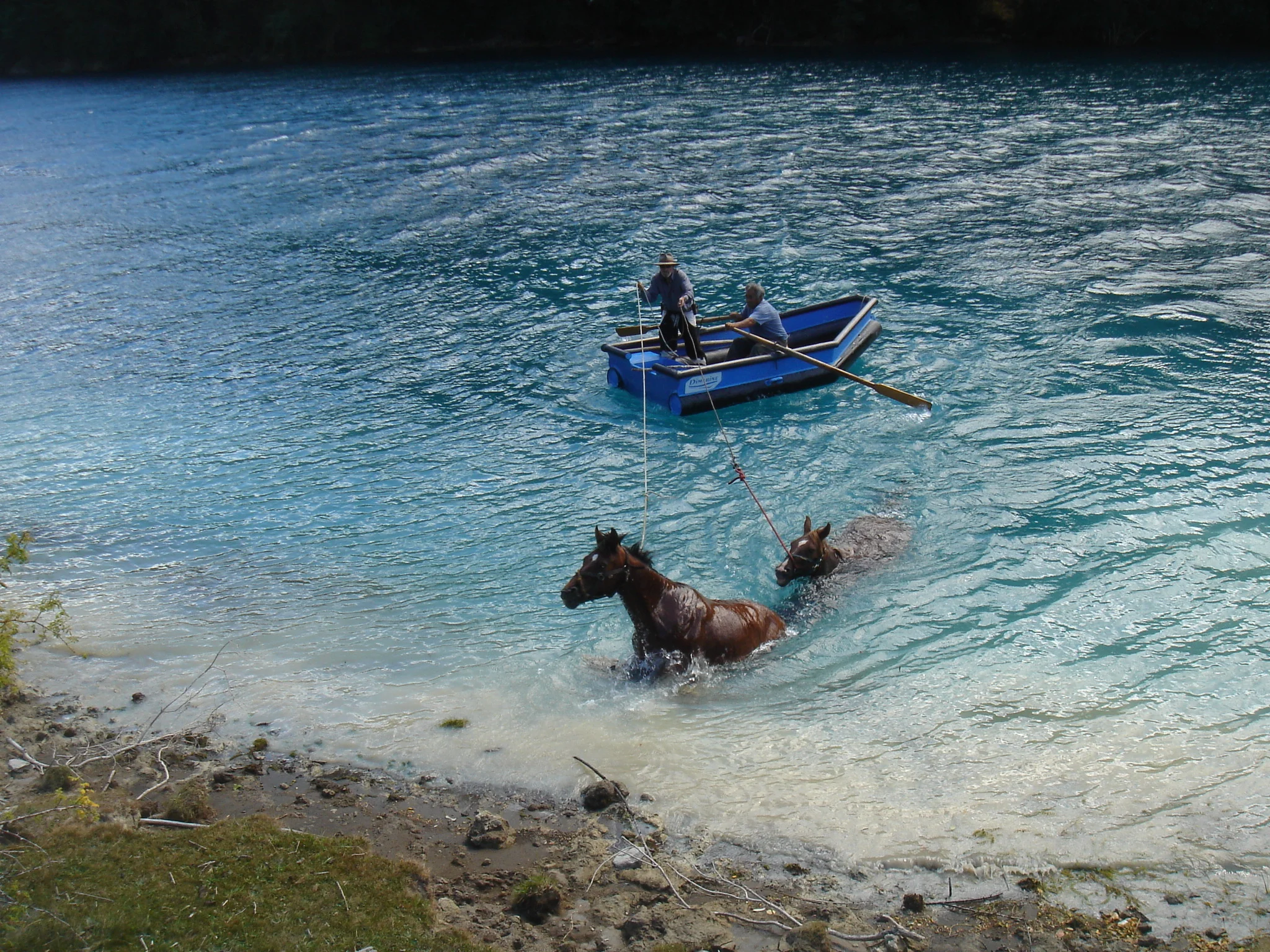  ^ the last 2 pics were taken from barraco's archive over the years 