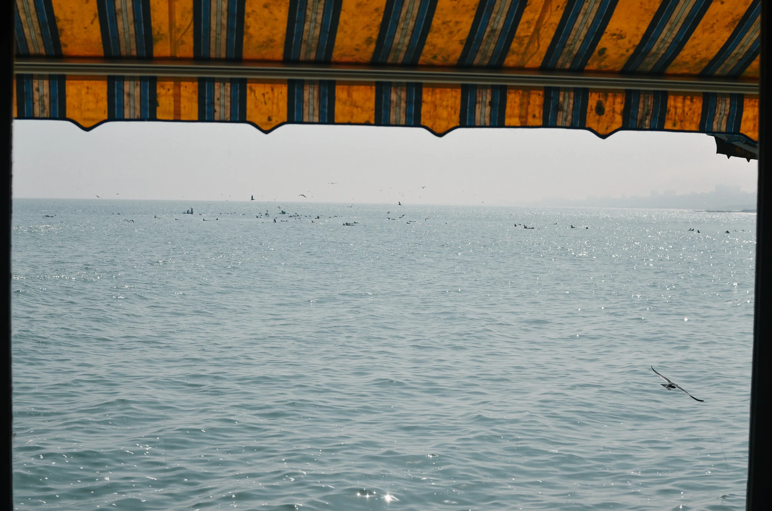 lima+peru+travel+guide+life+on+pine+blog +exchange_DSC_0792.jpg