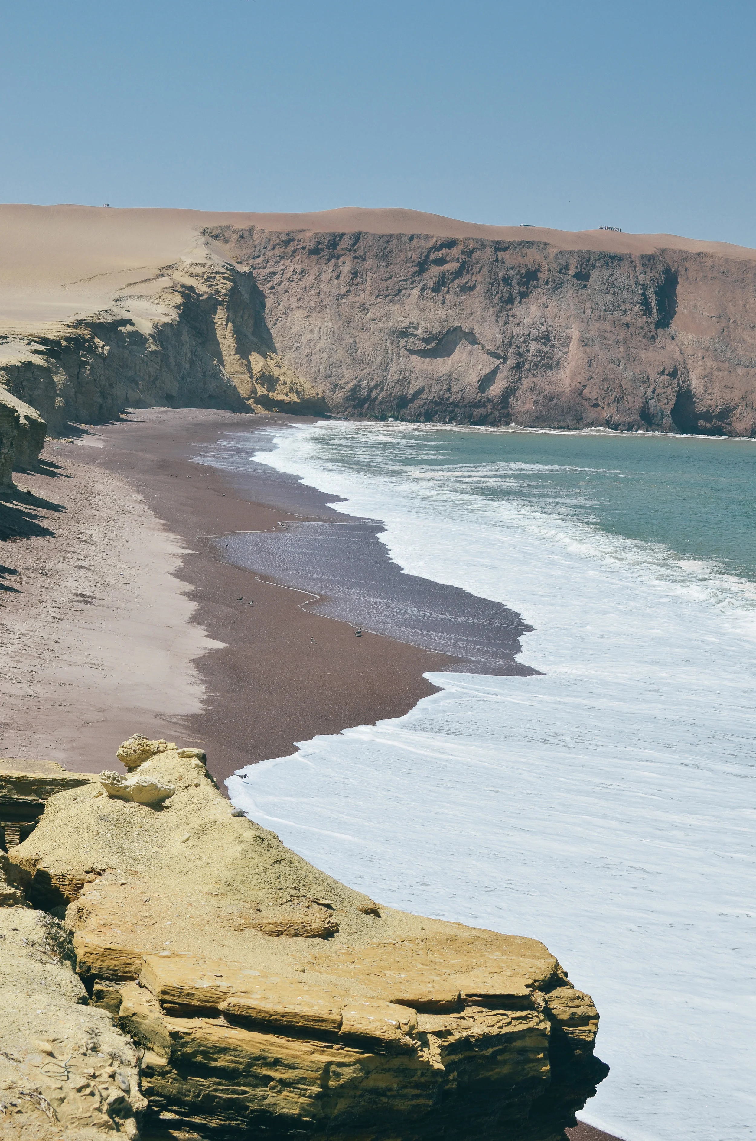 paracas, peru: where the desert meets the sea 