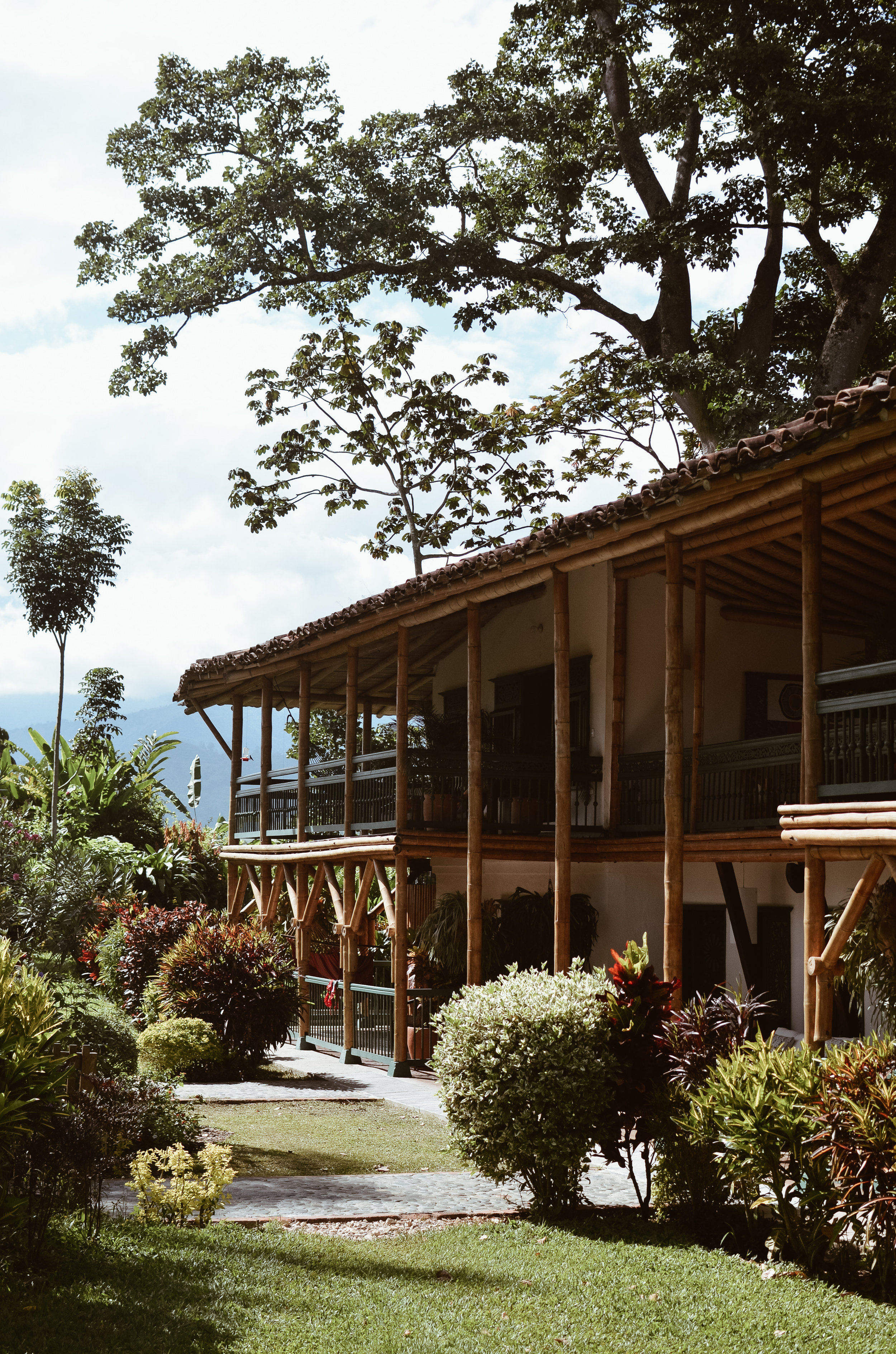 Hacienda+Bambusa+Coffee+Farm+Colombia_Life_on_Pine_DSC_0417.jpg