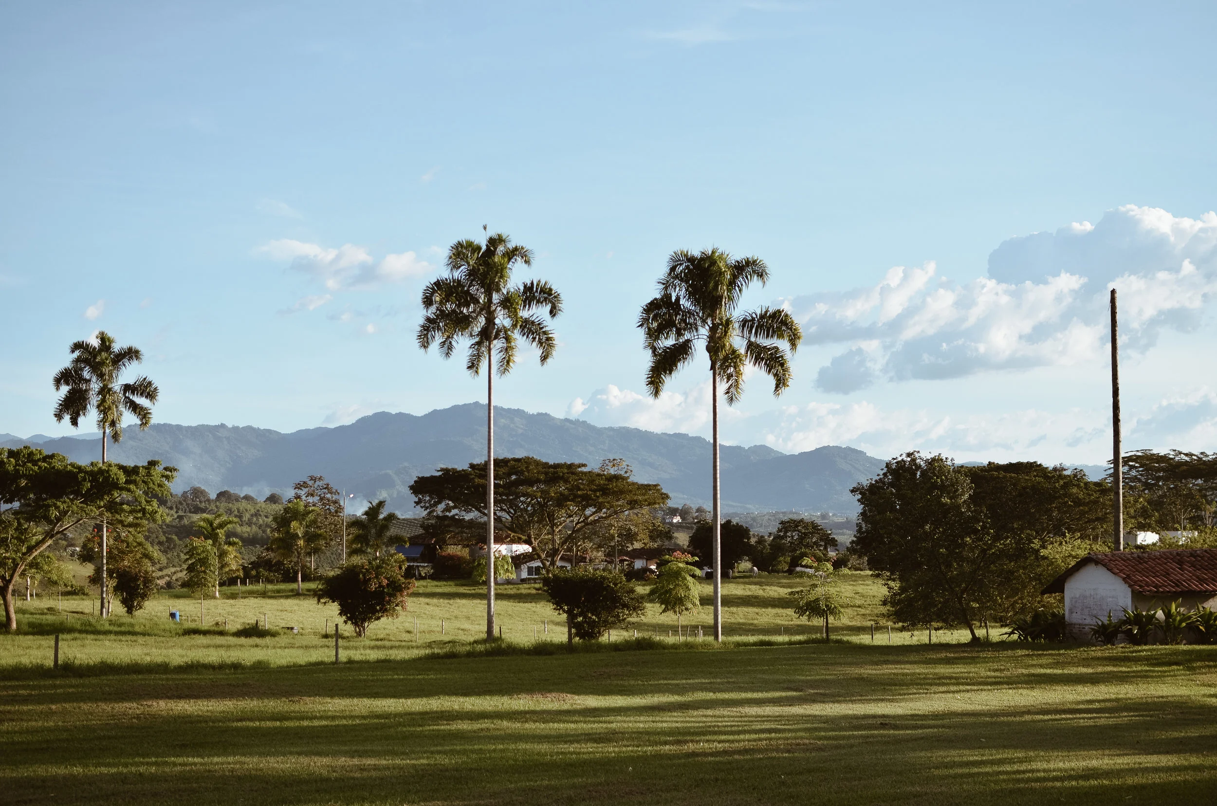 Hacienda+Bambusa+Coffee+Farm+Colombia_Life_on_Pine_DSC_0298.jpg