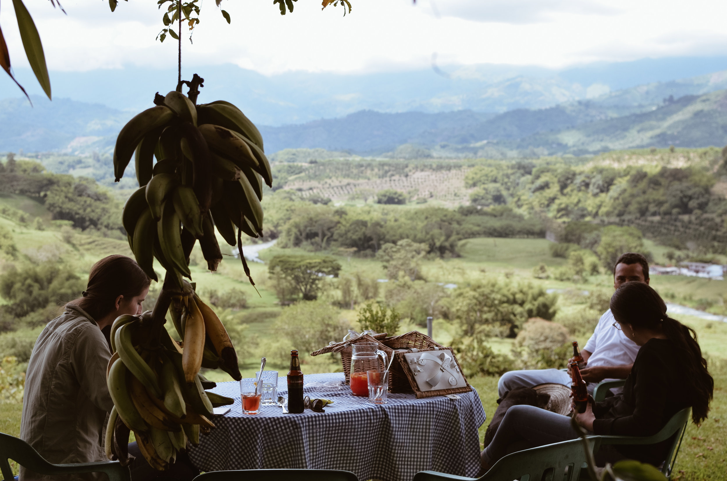Hacienda+Bambusa+Coffee+Farm+Colombia_Life_on_Pine_DSC_0597.jpg