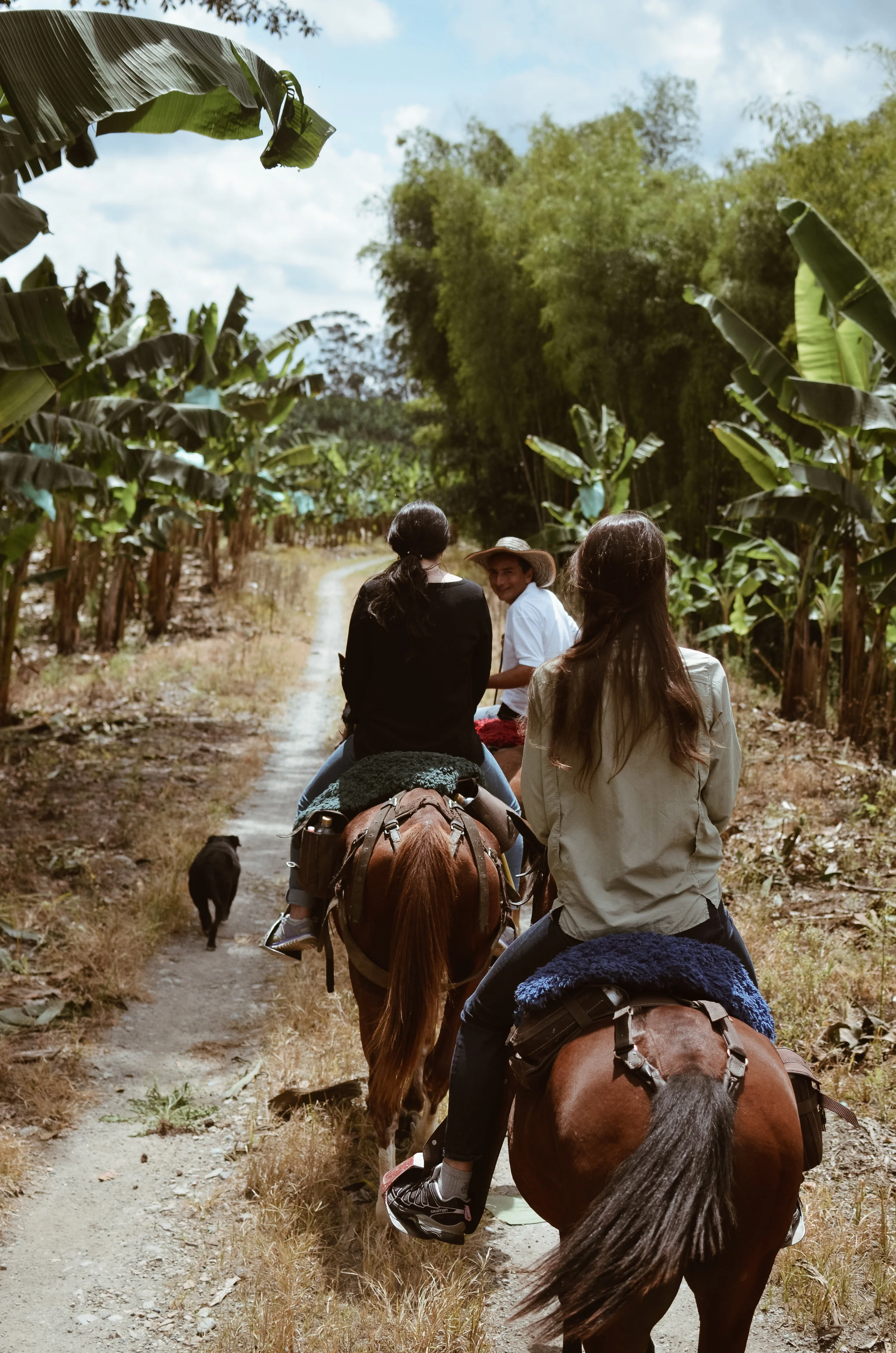Hacienda+Bambusa+Coffee+Farm+Colombia_Life_on_Pine_DSC_0546.jpg