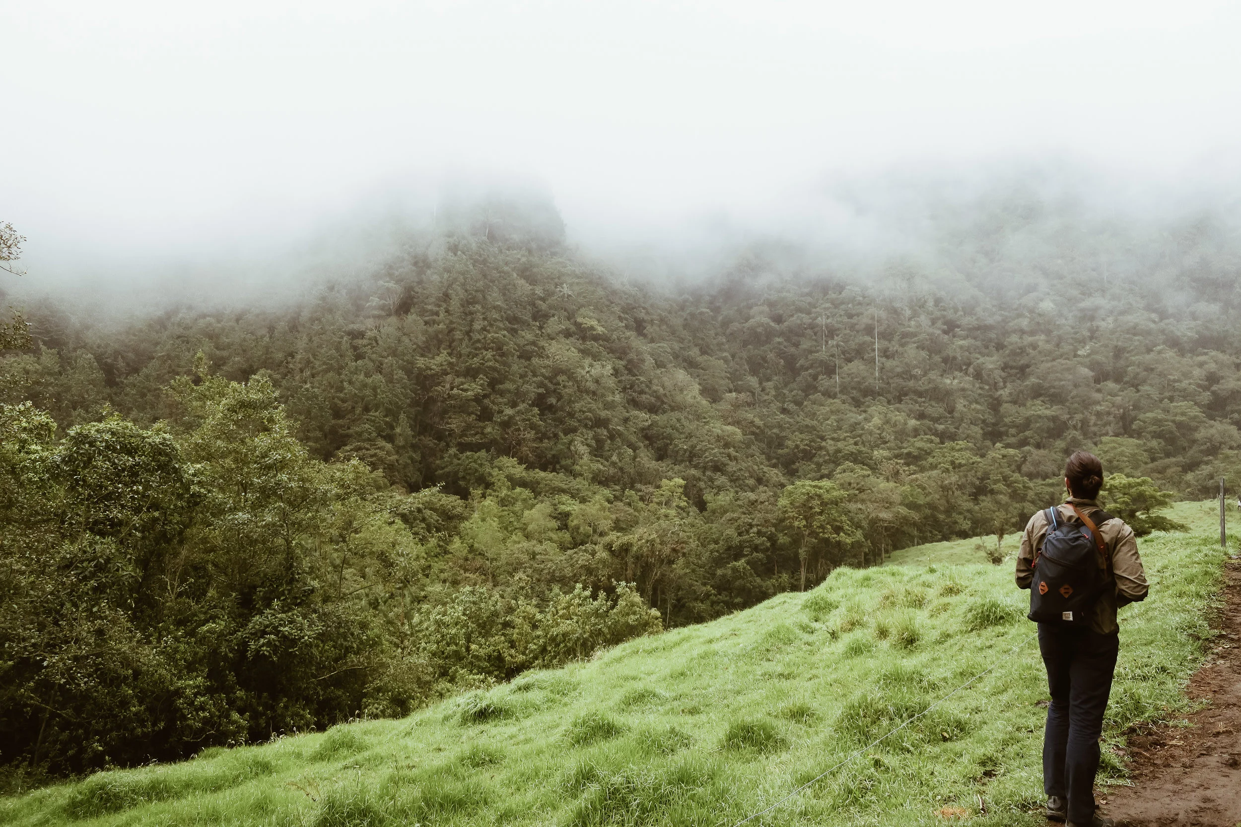 cocora+valley+hike+salento+colombia_IMG_2873.jpg