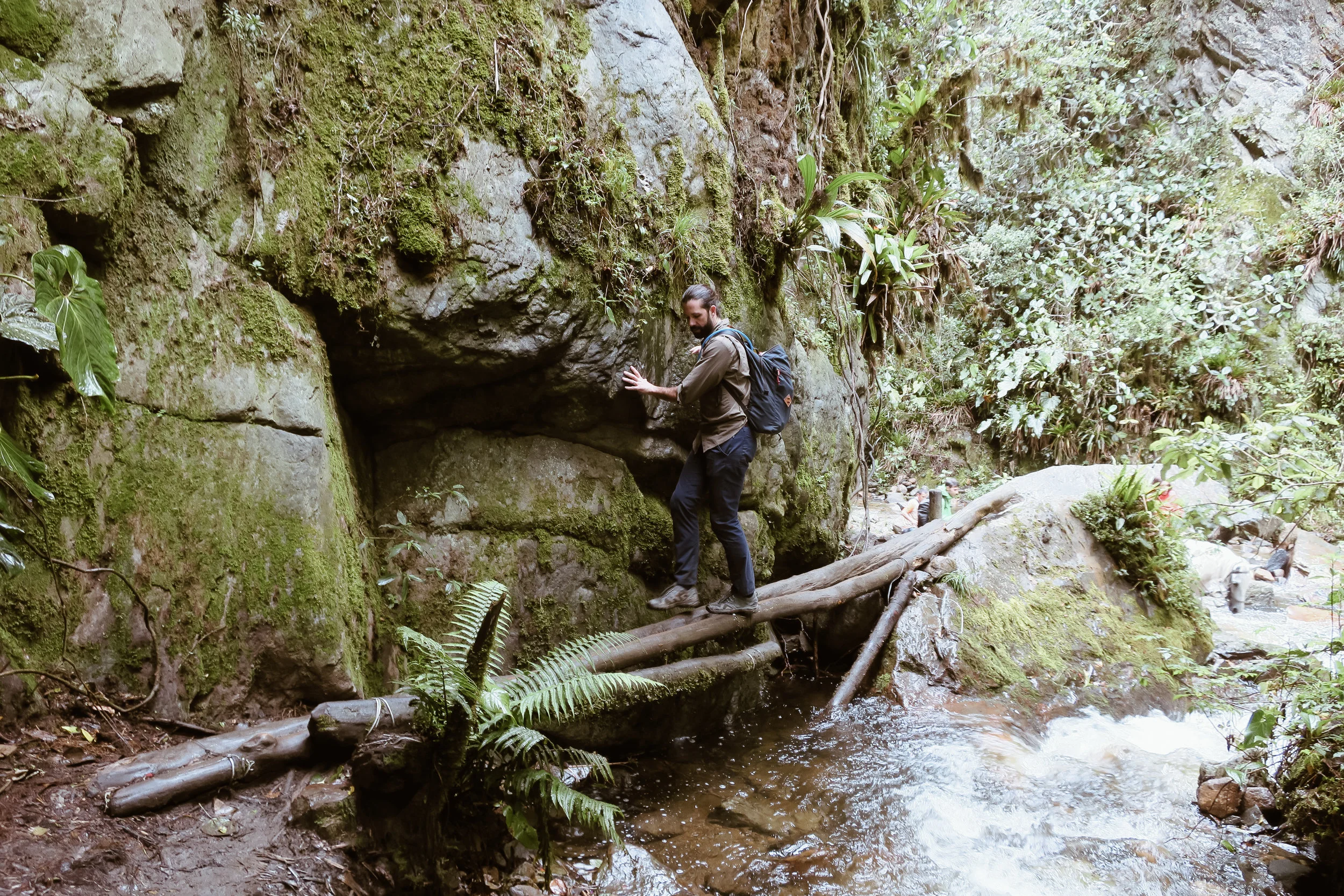cocora+valley+hike+salento+colombia_IMG_2883.jpg