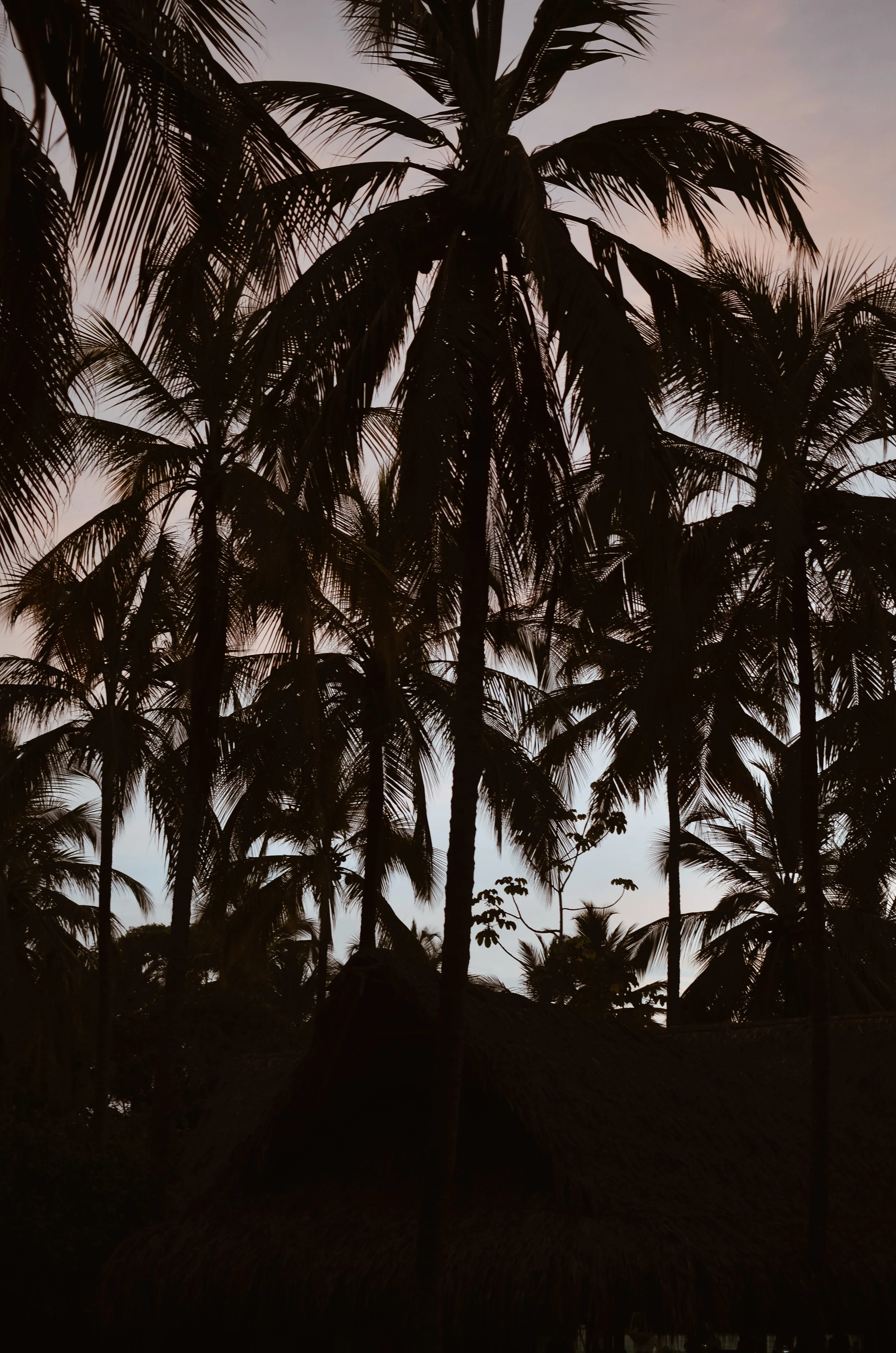 Gitana+del+Mar+Colombia+Life+On+Pine+Kate+Parrish_DSC_1716.jpg