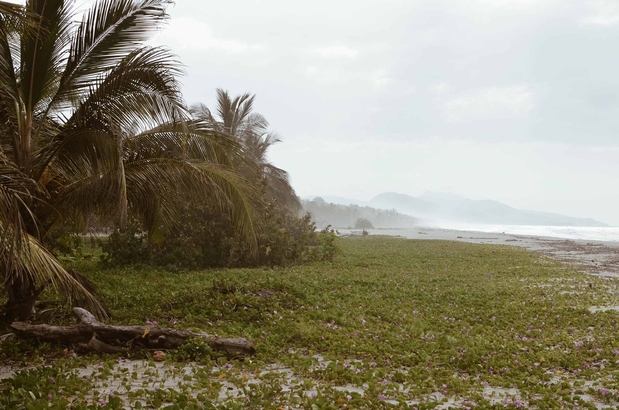 Gitana+del+Mar+Colombia+Life+On+Pine+Kate+Parrish_DSC_1668.jpg