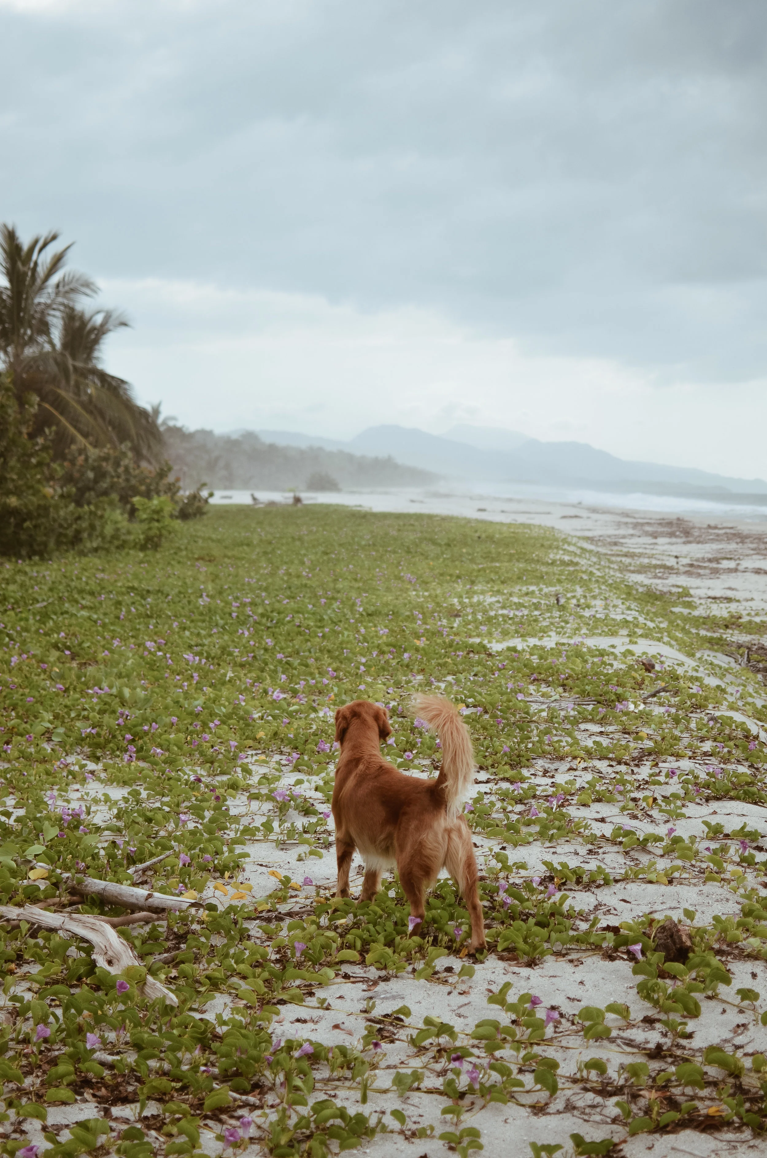 Gitana+del+Mar+Colombia+Life+On+Pine+Kate+Parrish_DSC_1627.jpg