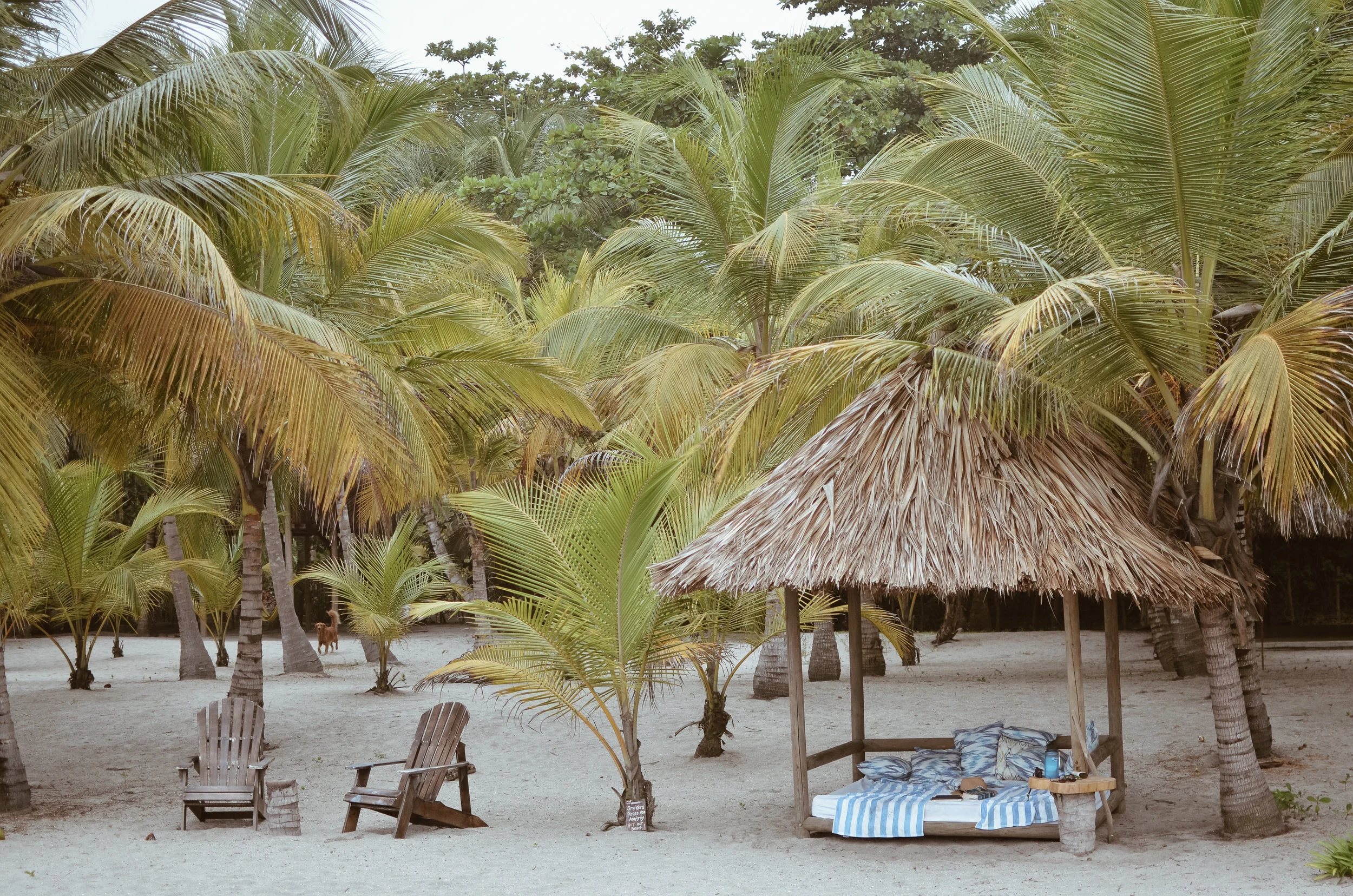 Gitana+del+Mar+Colombia+Life+On+Pine+Kate+Parrish_DSC_1620.jpg