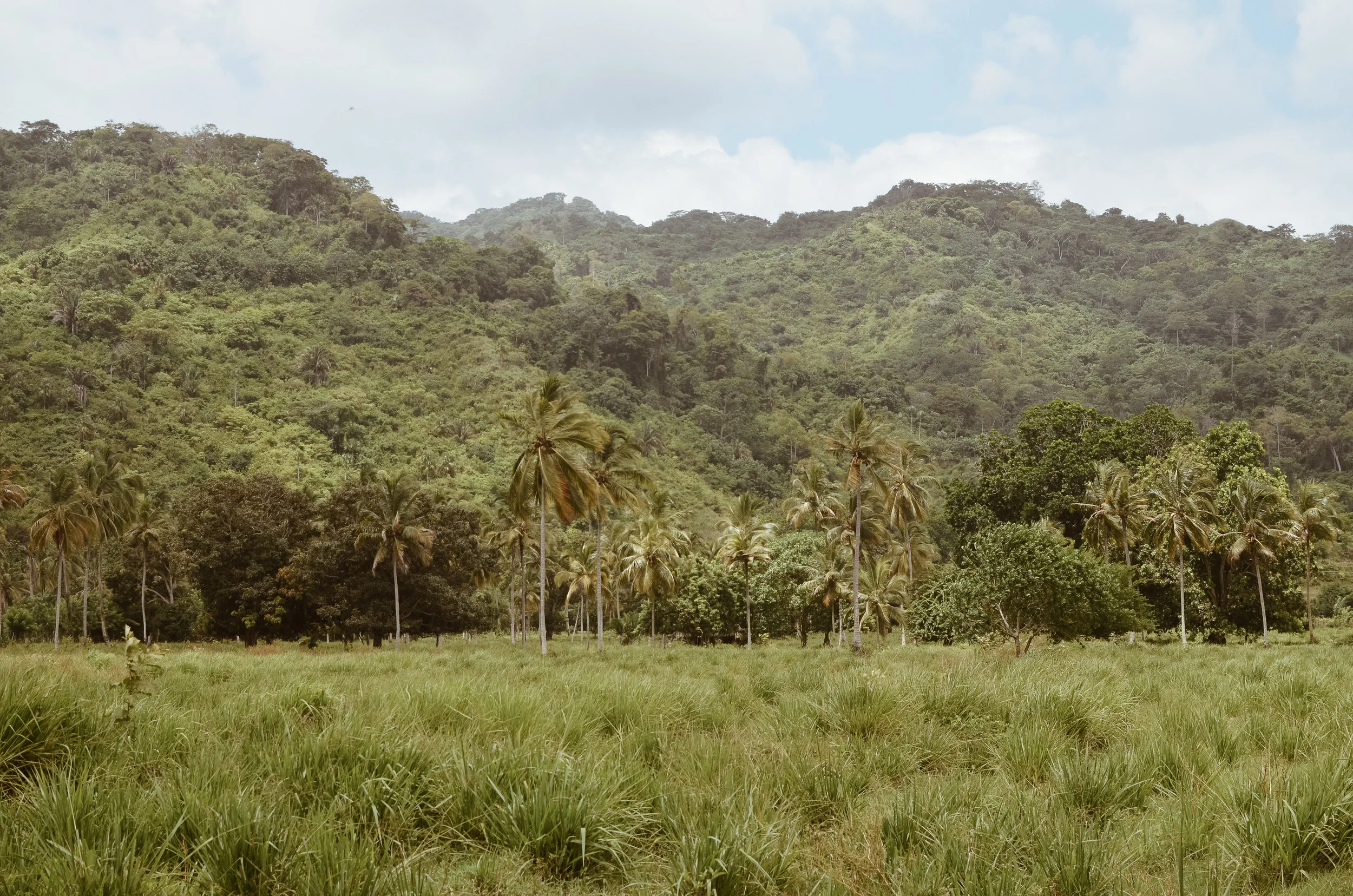 Gitana+del+Mar+Colombia+Life+On+Pine+Kate+Parrish_DSC_1519.jpg