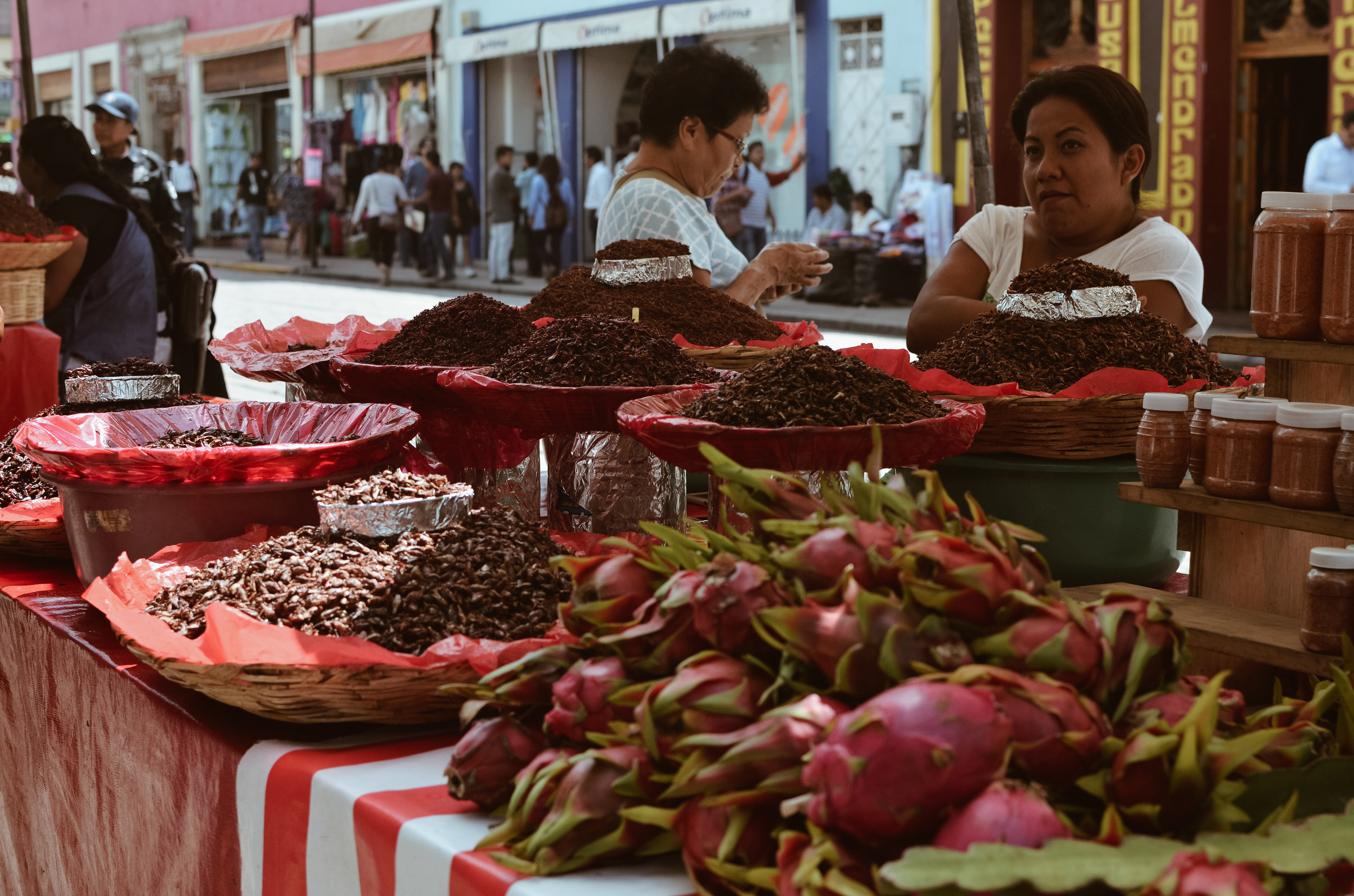 oaxaca+august+etta+kate+parrish_DSC_0223.jpg