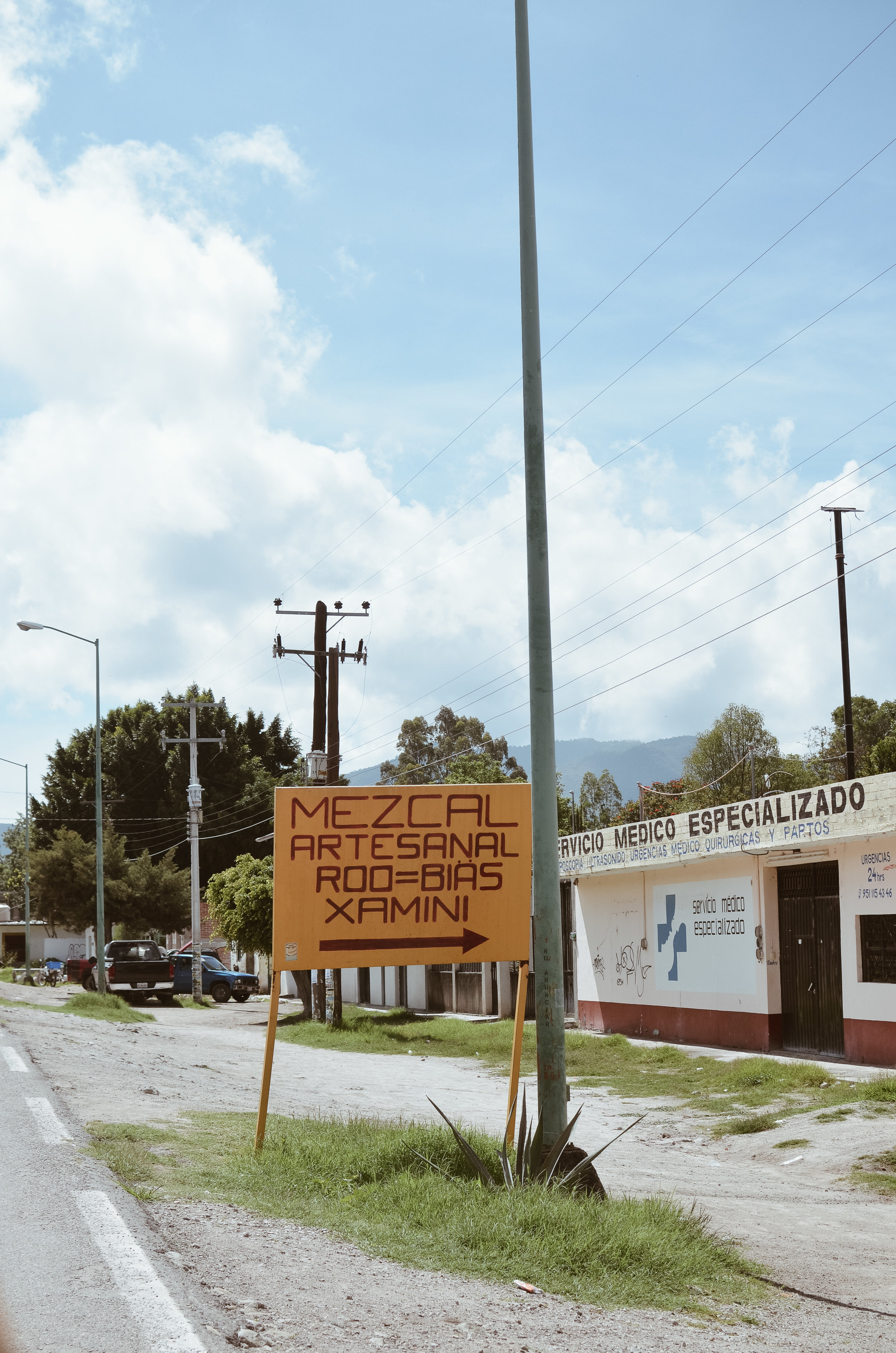 oaxaca+august+etta+kate+parrish_DSC_2176.jpg