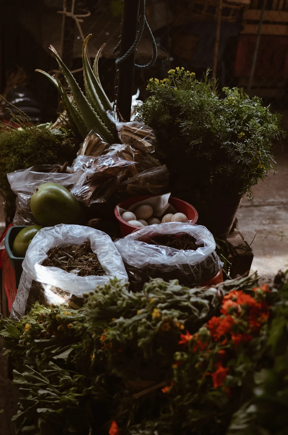 oaxaca+august+etta+kate+parrish_DSC_2005.jpg