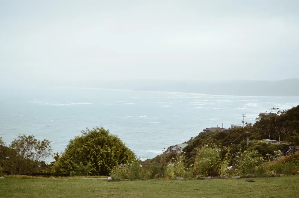 raglan+new+zealand+kate+parrish+life+on+pine_DSC_0282.jpg