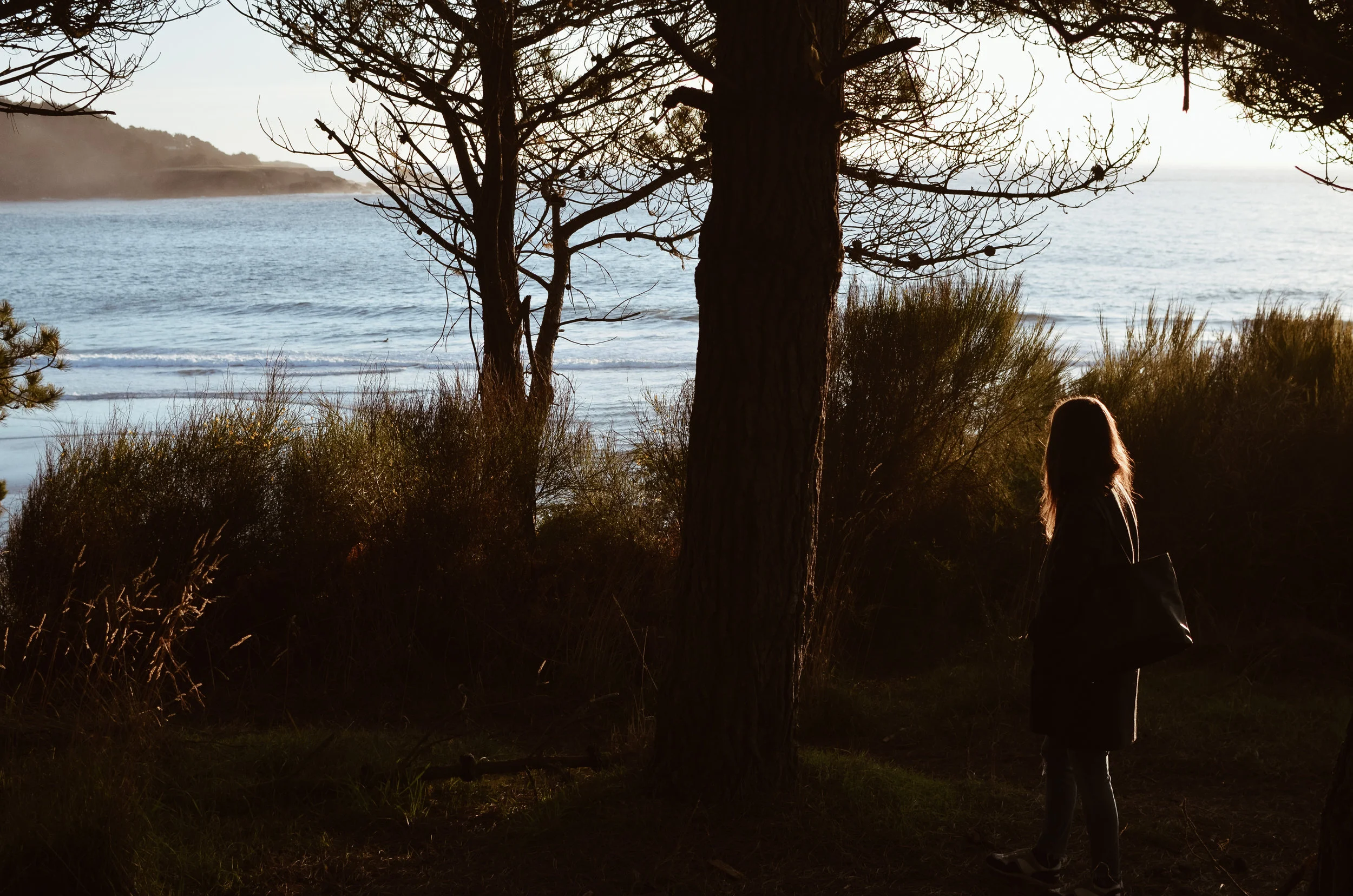mendocino+kate+parrish+life+on+pine_DSC_0079.jpg