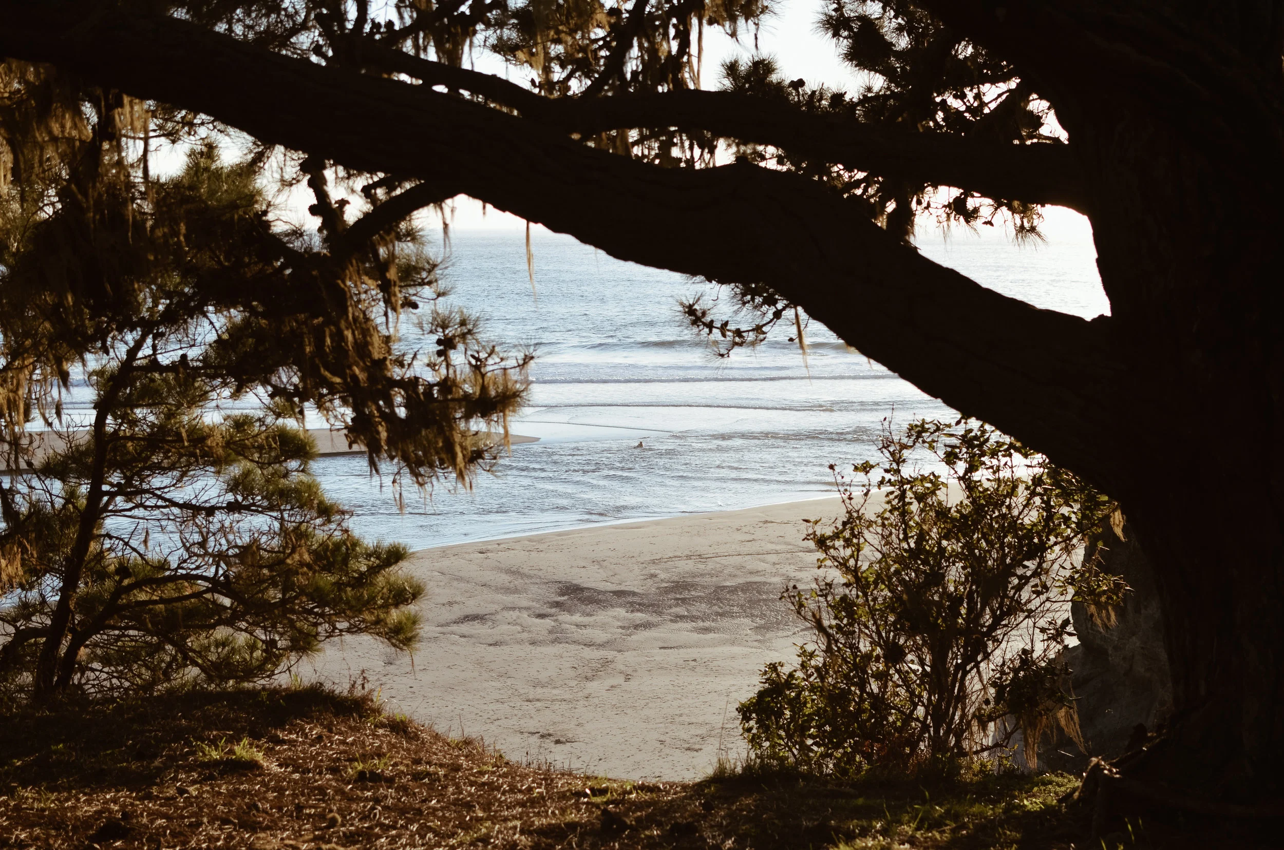 mendocino+kate+parrish+life+on+pine_DSC_0066.jpg