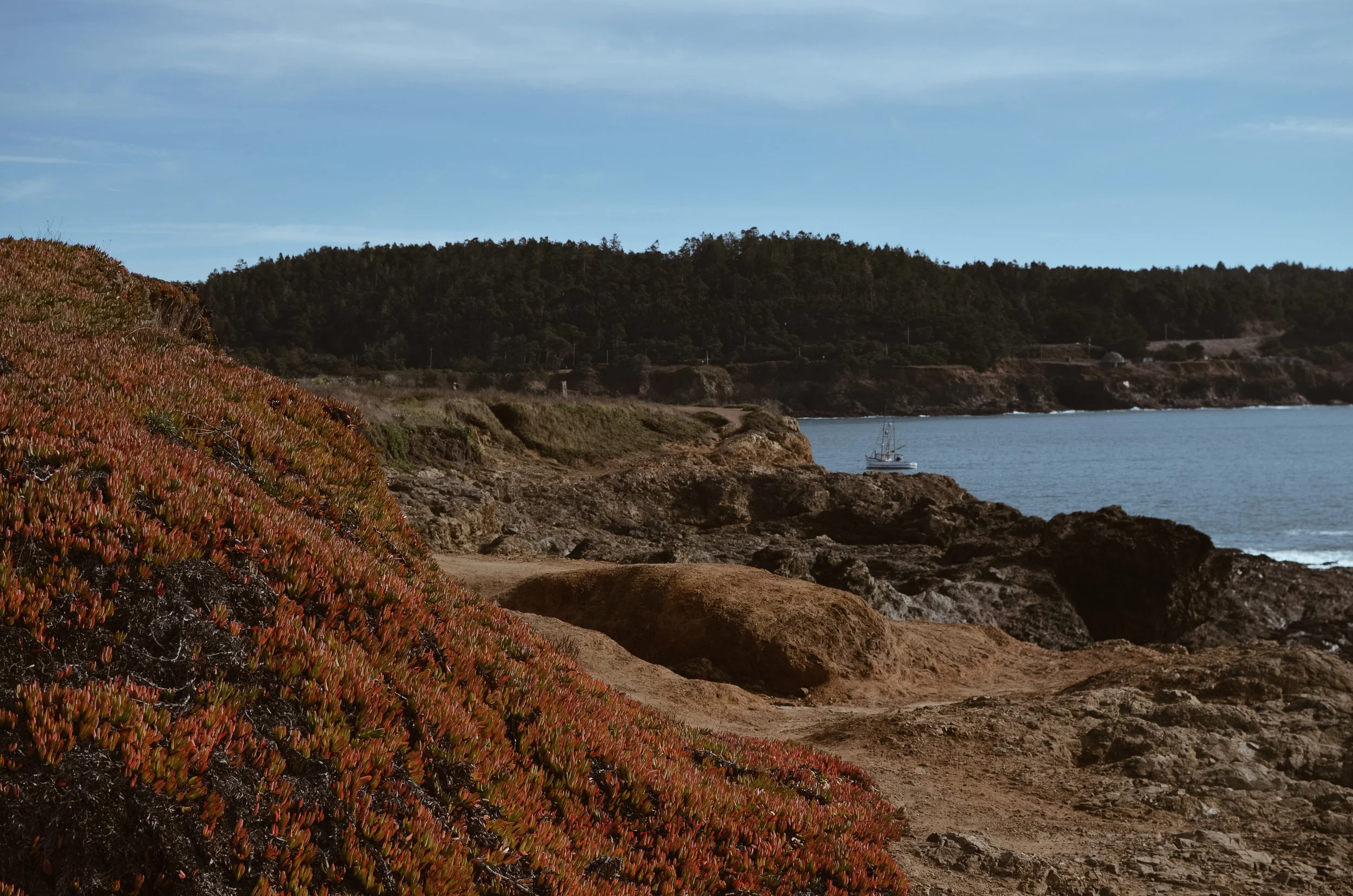 mendocino+kate+parrish+life+on+pine_DSC_1418.jpg