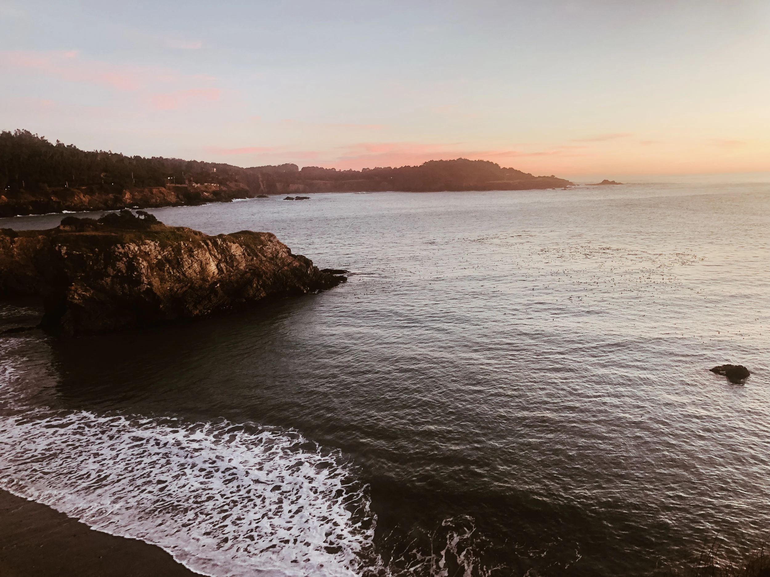 mendocino+kate+parrish+life+on+pine_Photo Jan 01, 5 16 51 PM.jpg