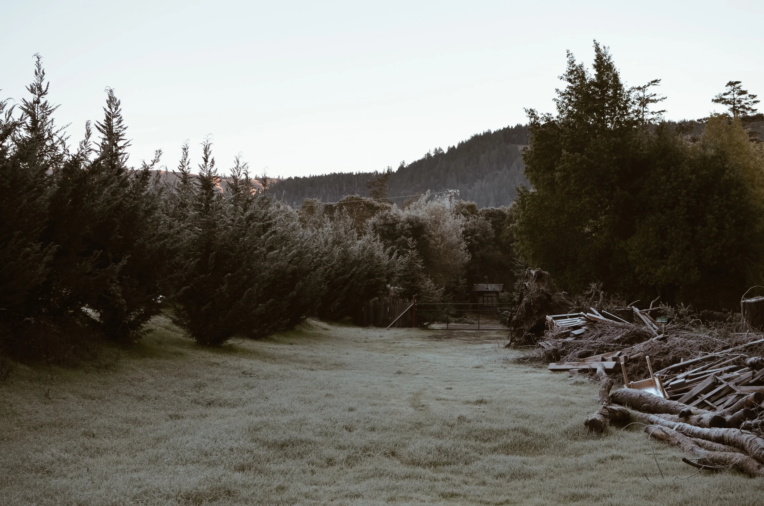 mendocino+kate+parrish+life+on+pine_DSC_1298.jpg
