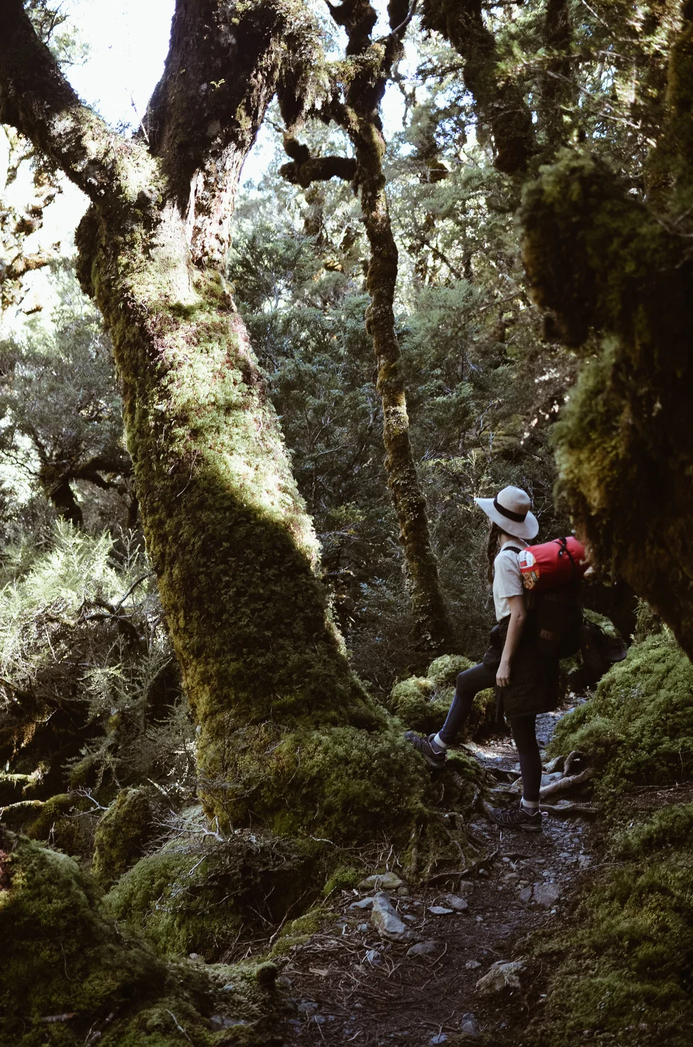 routeburn+track+new+zealand+kate+parrish+life+on+pine_DSC_0815.jpg