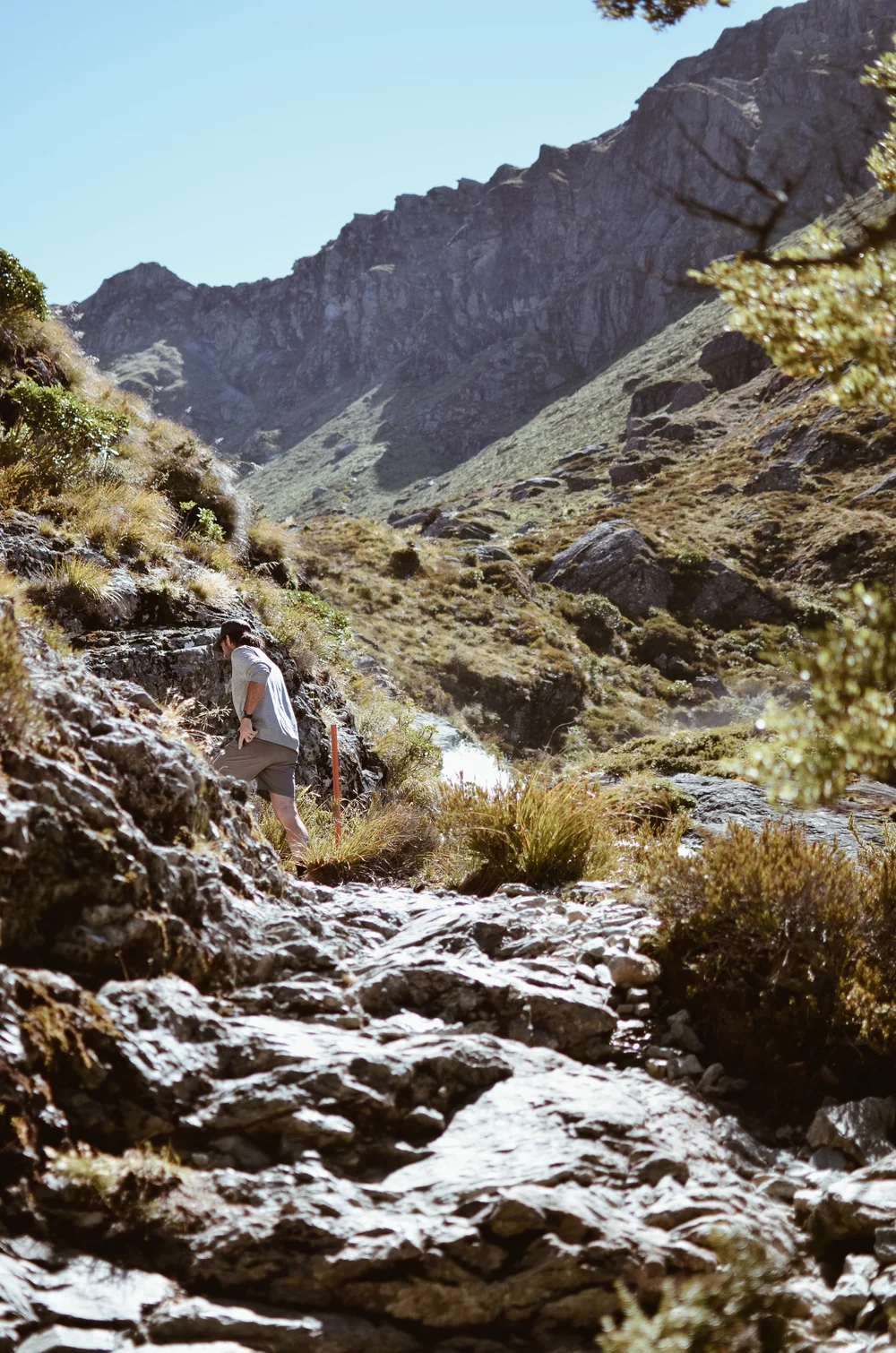 routeburn+track+new+zealand+kate+parrish+life+on+pine_DSC_0708.jpg