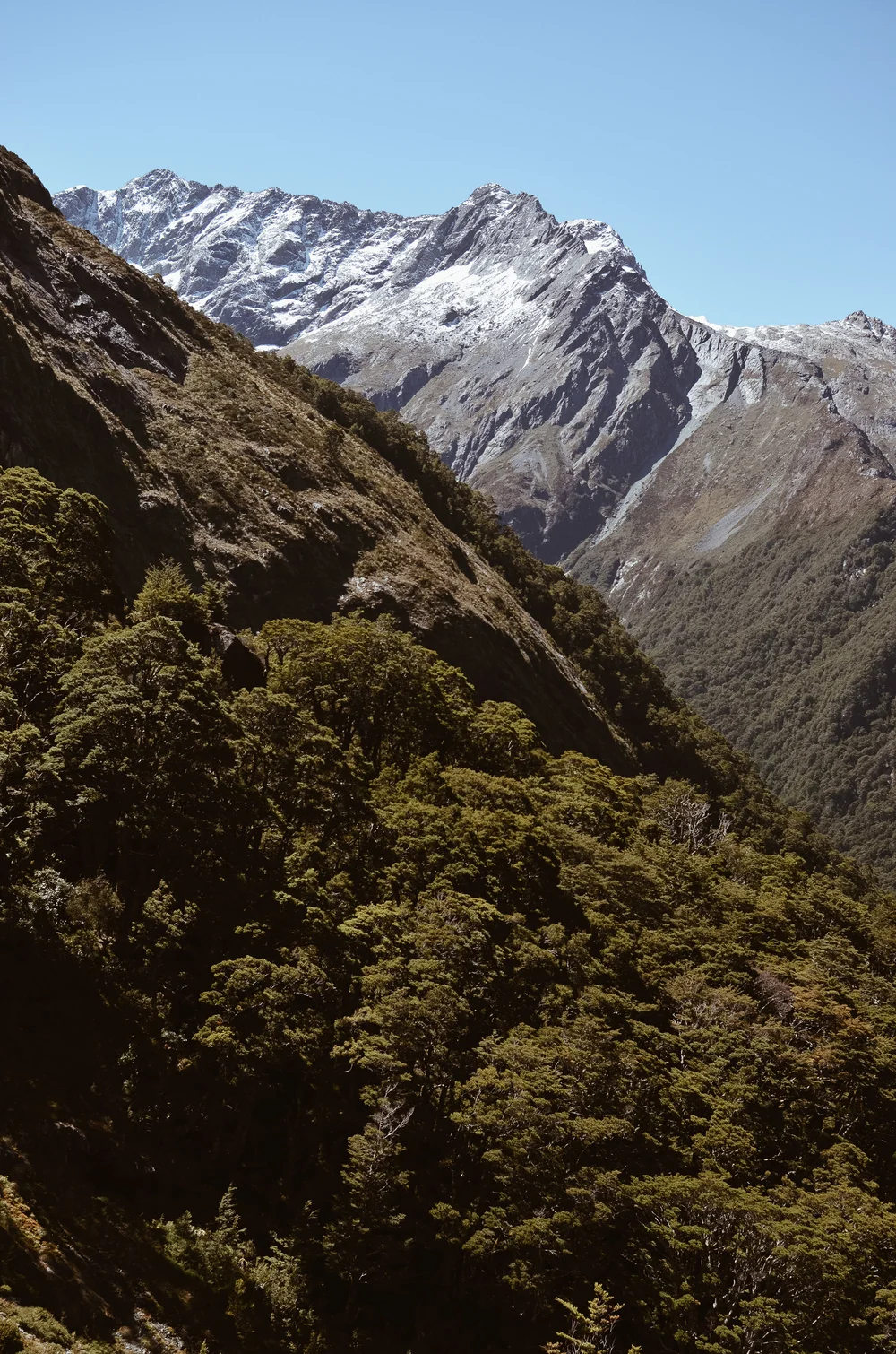 routeburn+track+new+zealand+kate+parrish+life+on+pine_DSC_0643.jpg